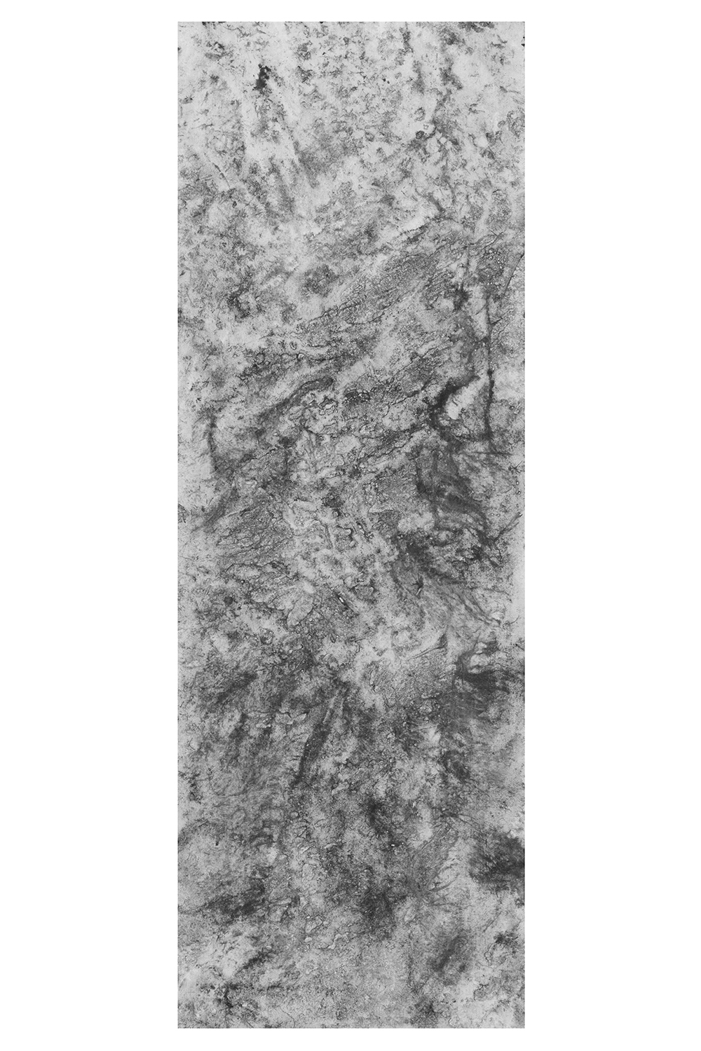 Sentier (V) (verso)encre de Chine et méthylcellulosesur toile, 200 x 71 cm, 2024