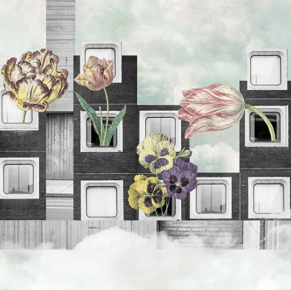 Margarita Vera Antequera