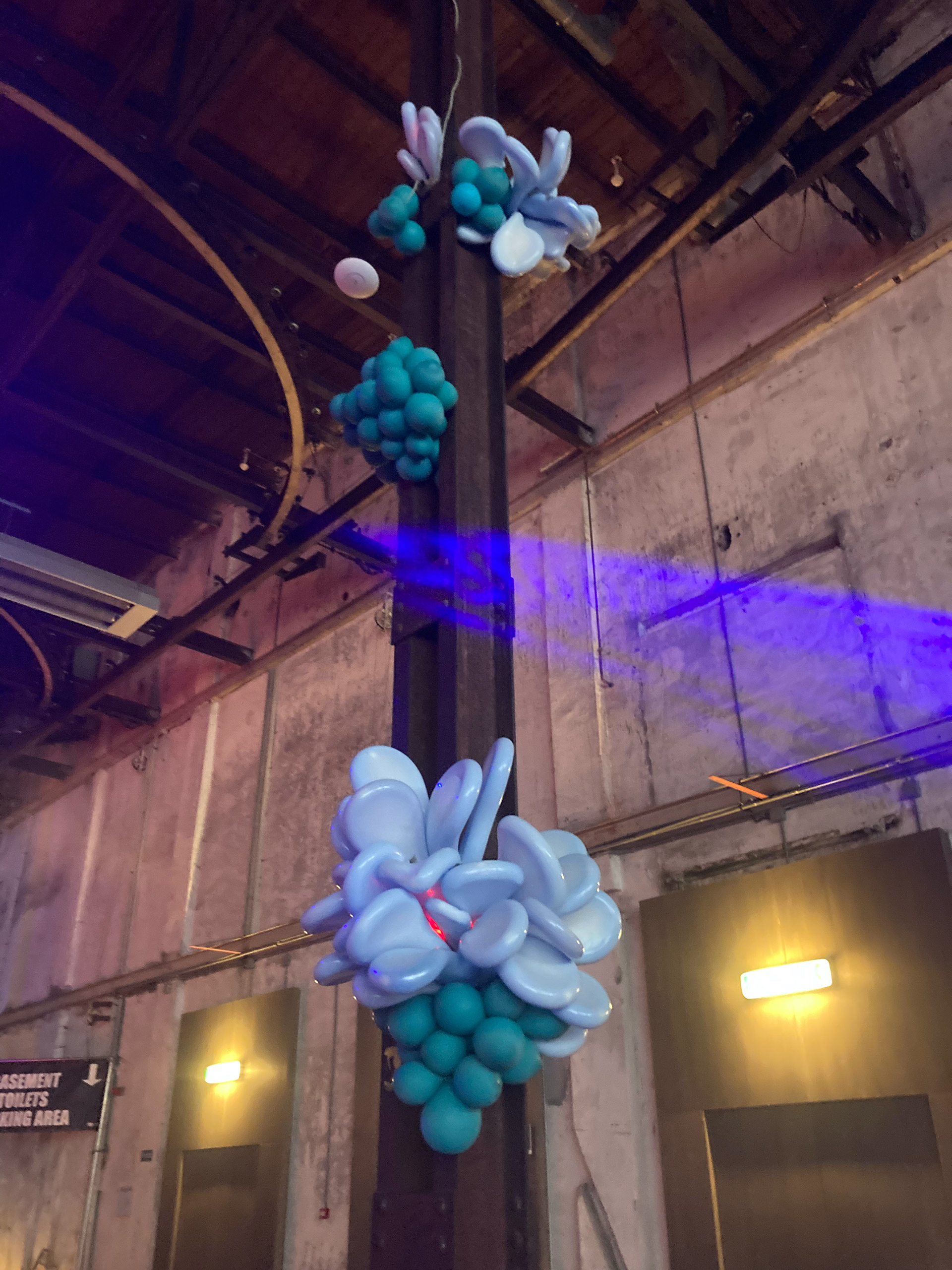 Fungus study I / Suikerfabriek for Paradigm / 2021