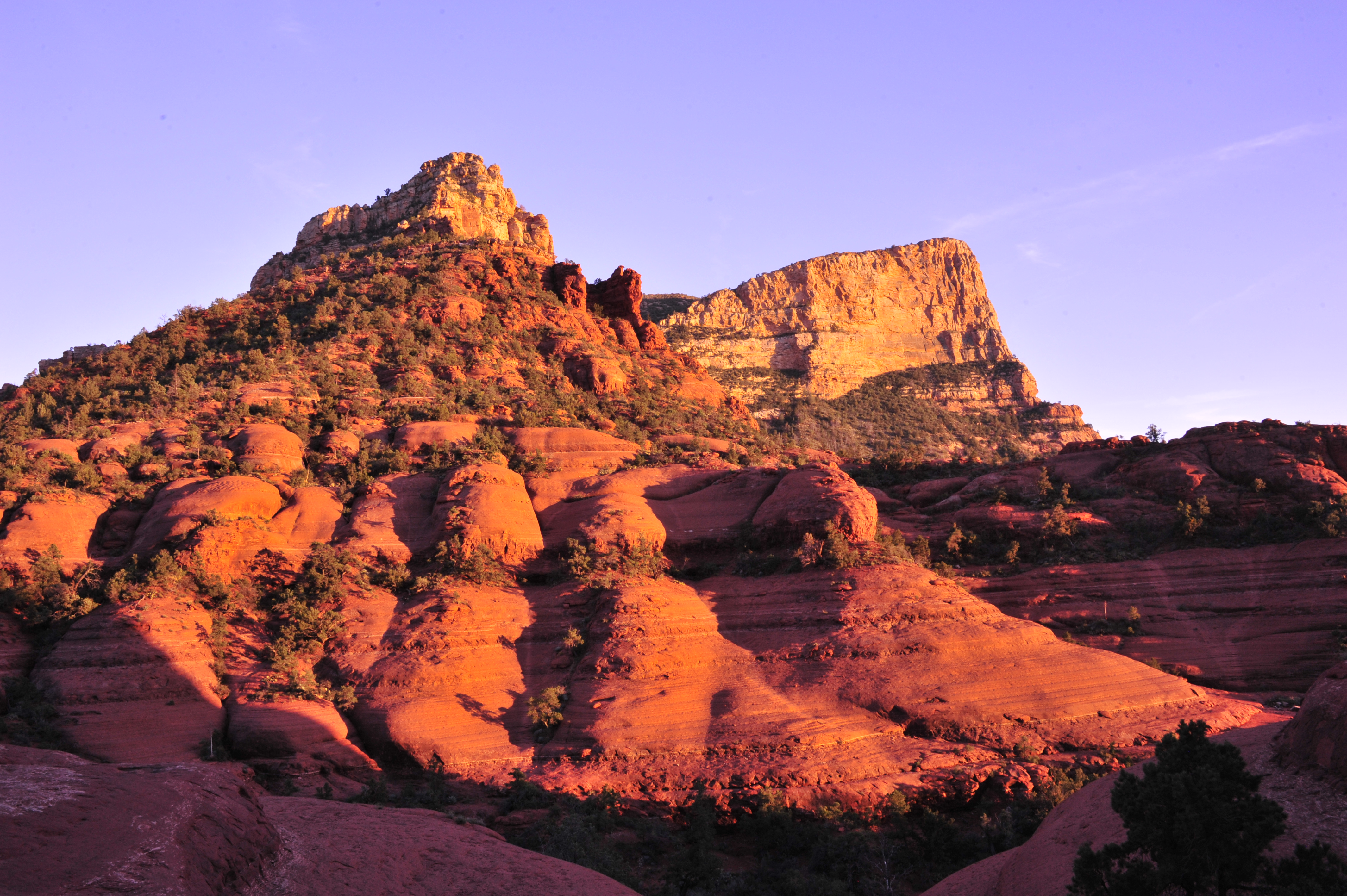 Arizona BUY THIS PRINT