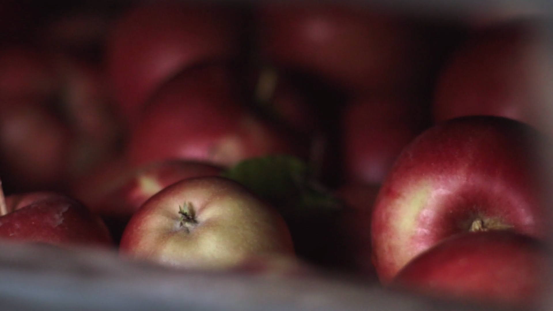 New York Cider Association