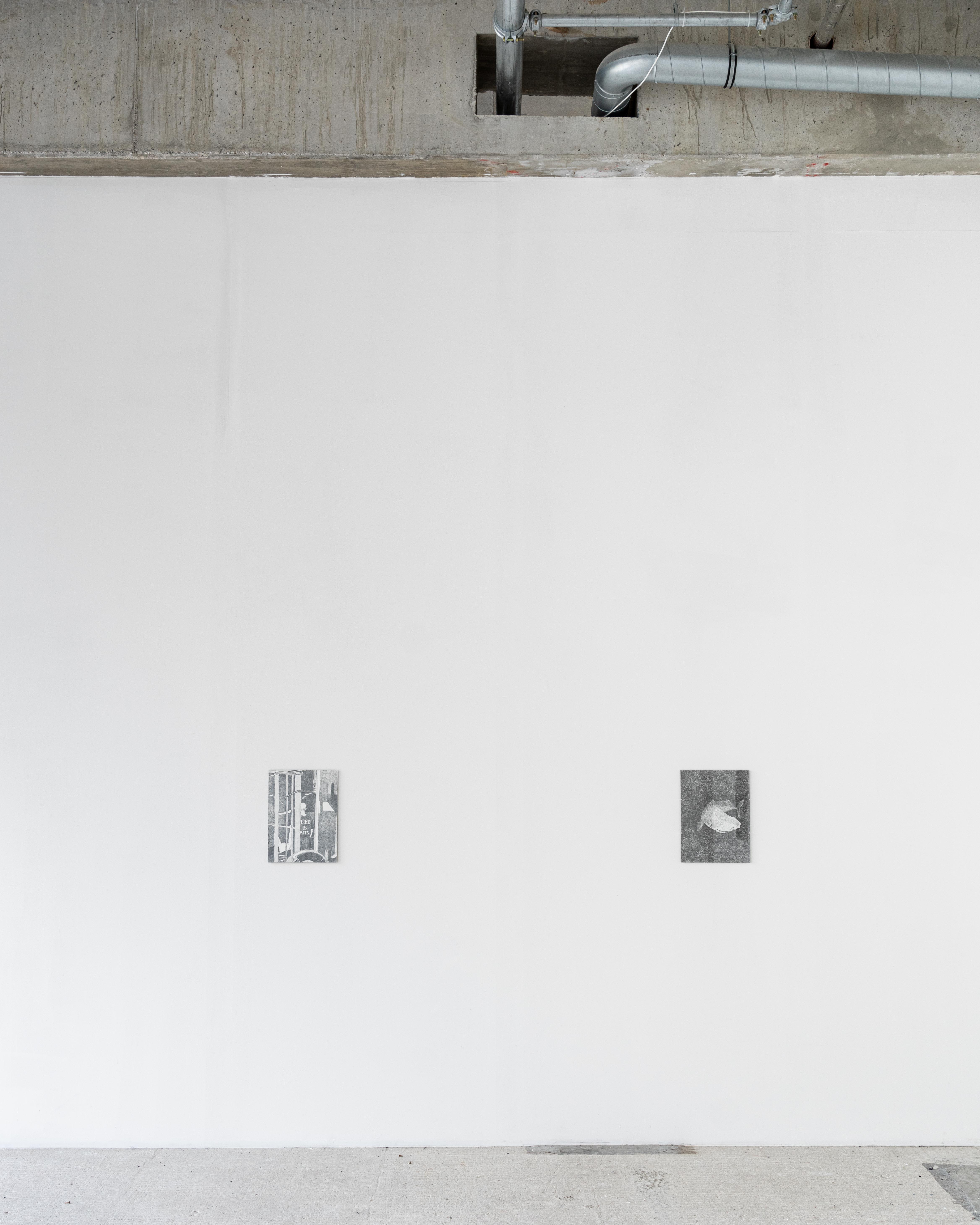 Installltion view