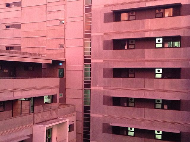 Sunset upon apartments in UNSW, Sydney, Australia. 