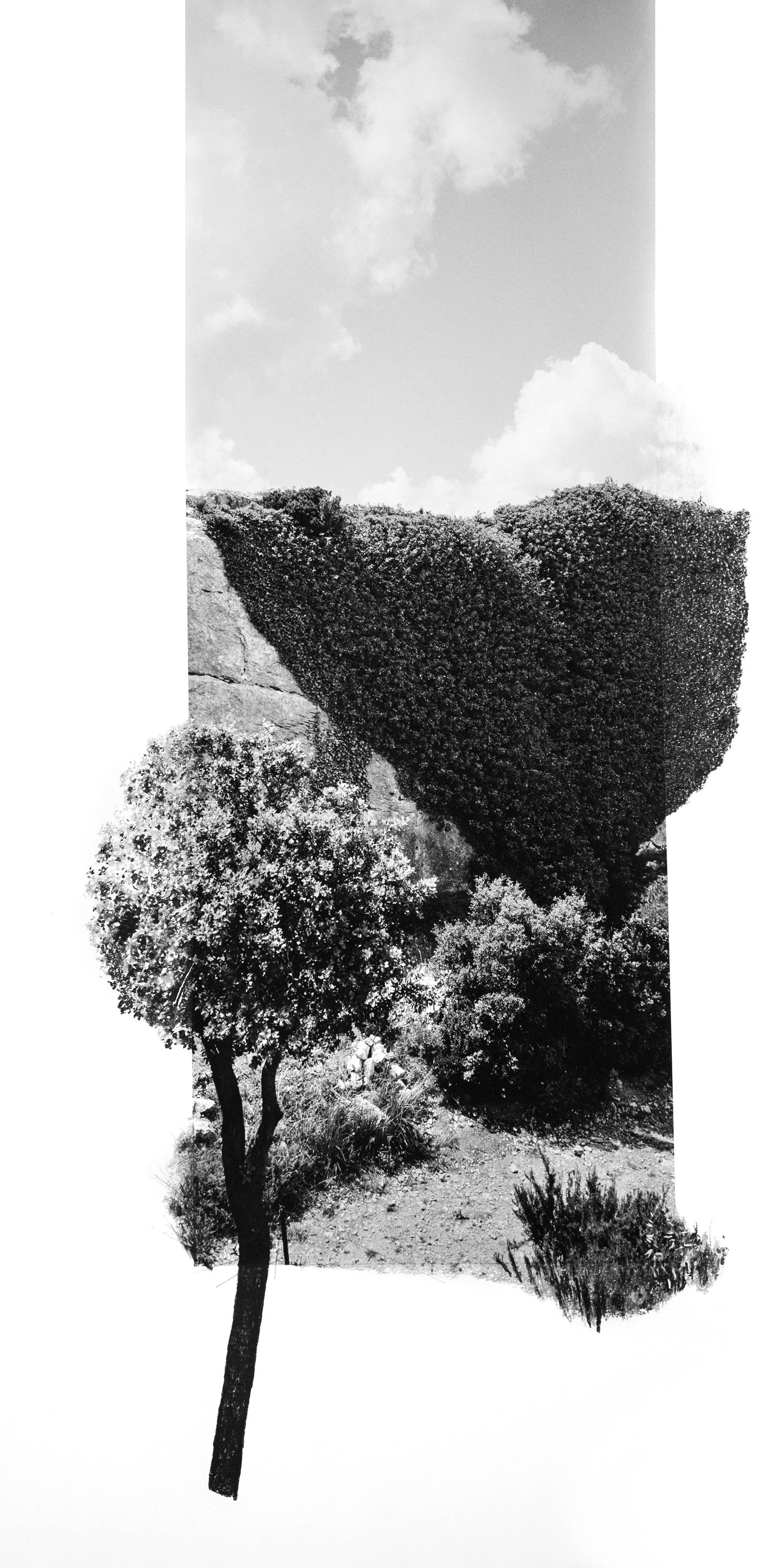 © Dana COJBUCEffluve #02, 2024courtesy Galerie Catherine Putman