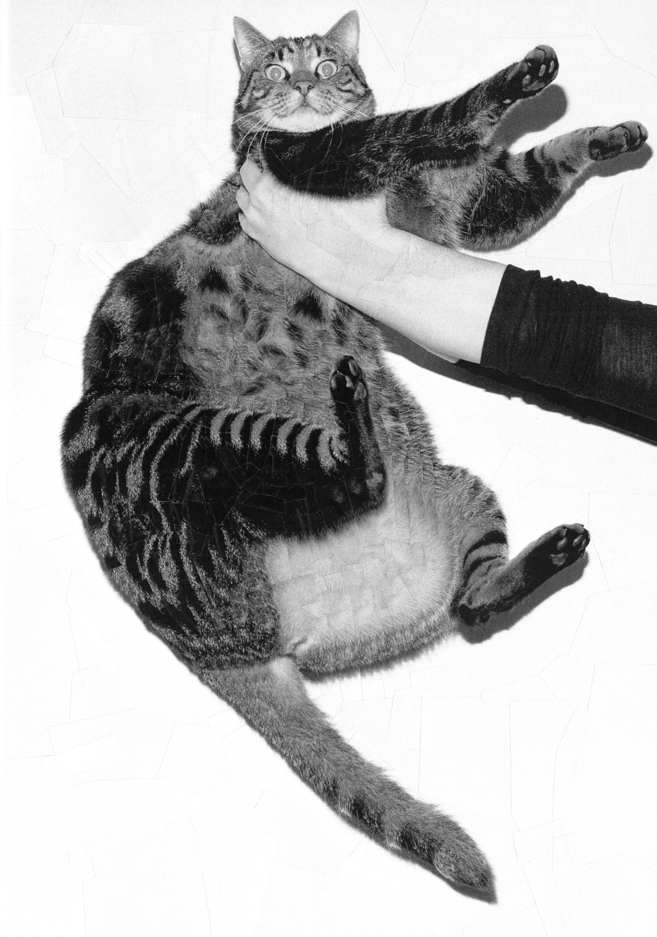 Vince I with Michelle Tran, 2011, 8.2 x 11.6 inches