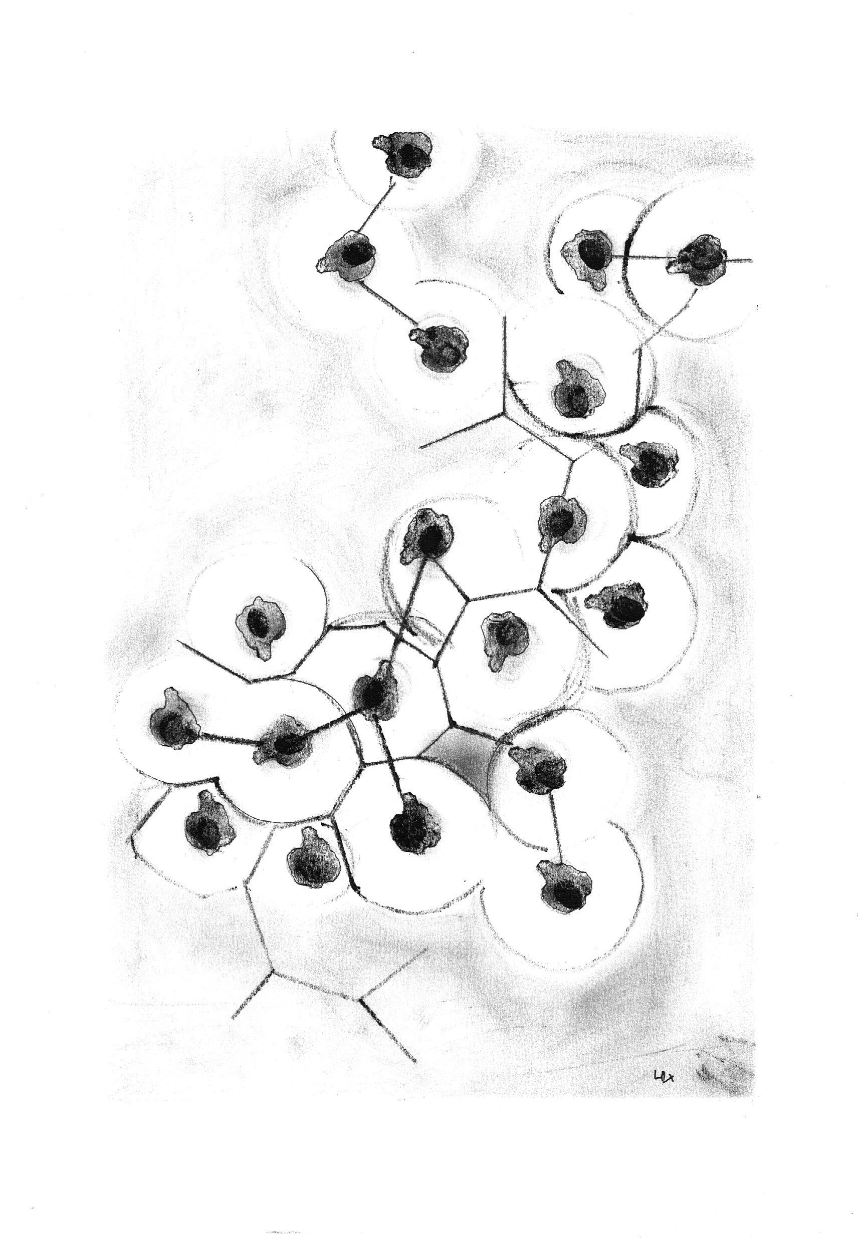 Cellulhum III-2014-33X22