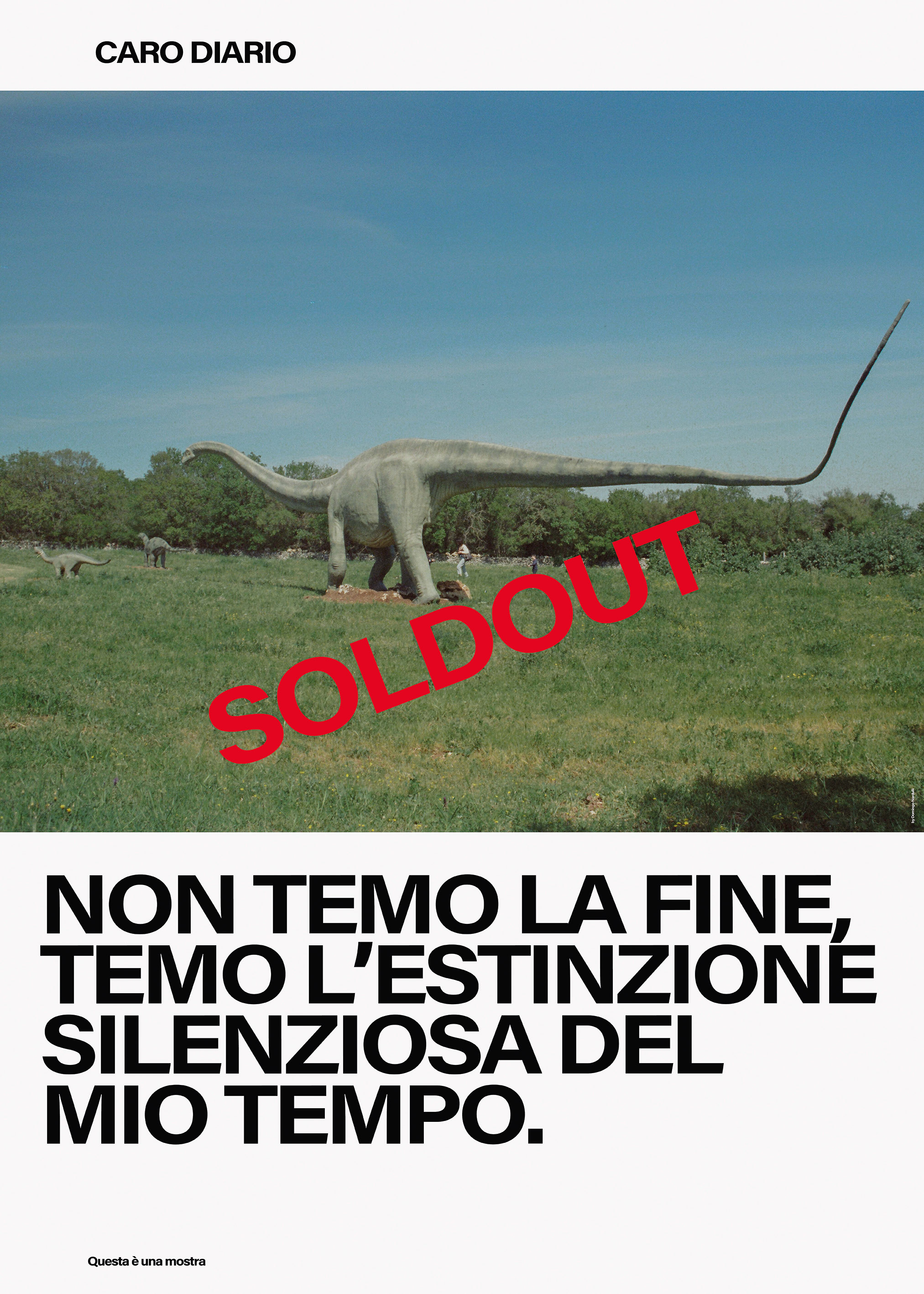 NON TEMO LA FINE, TEMPO L'ESTINZIONE SILENZIOSA DEL MIO TEMPO.