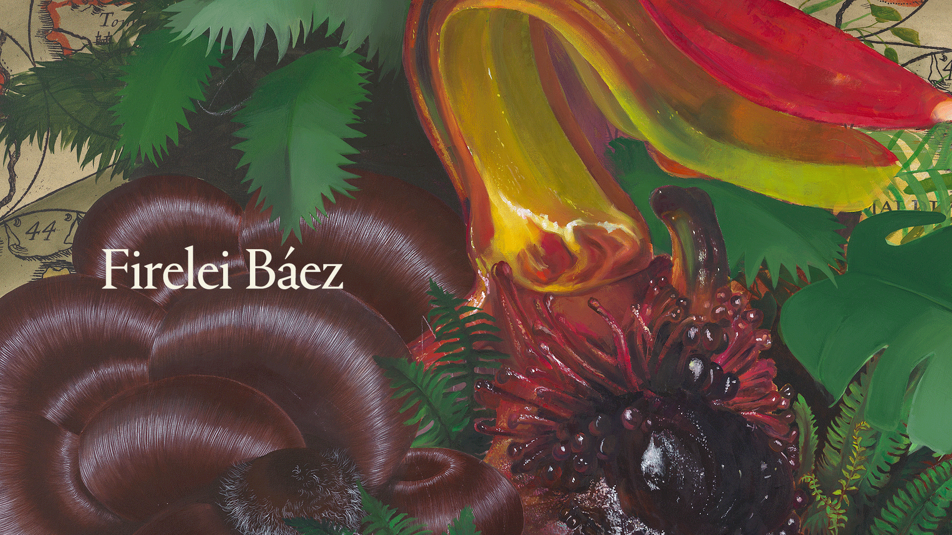 James Cohan Features: Firelei Báez — Americananana