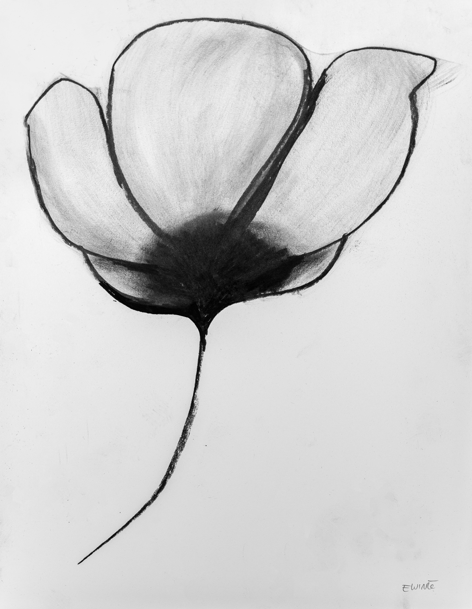 Floral Sketch 04 — $100