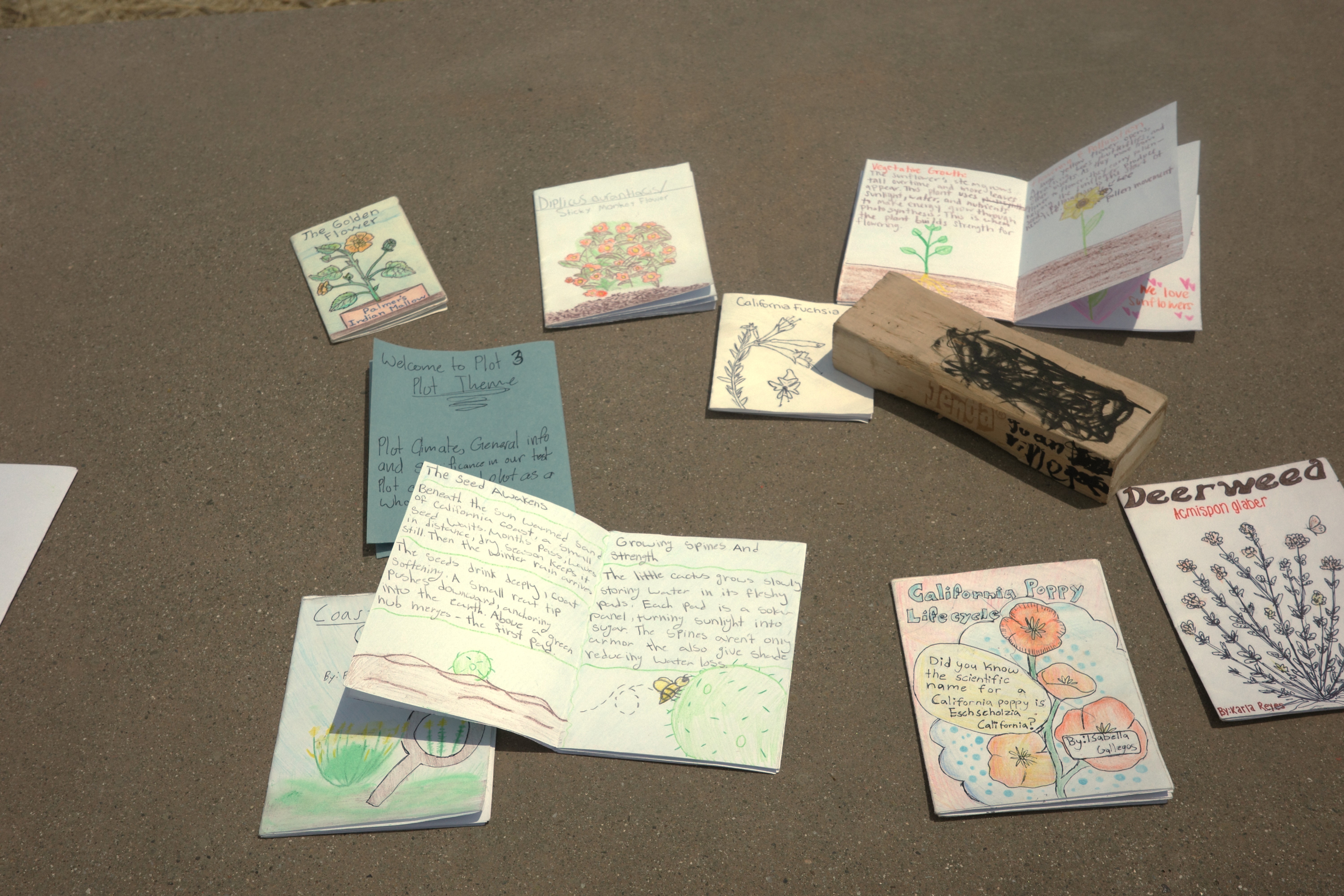  Puente Hills Youth at Work made the most beautiful lifecycle zines!