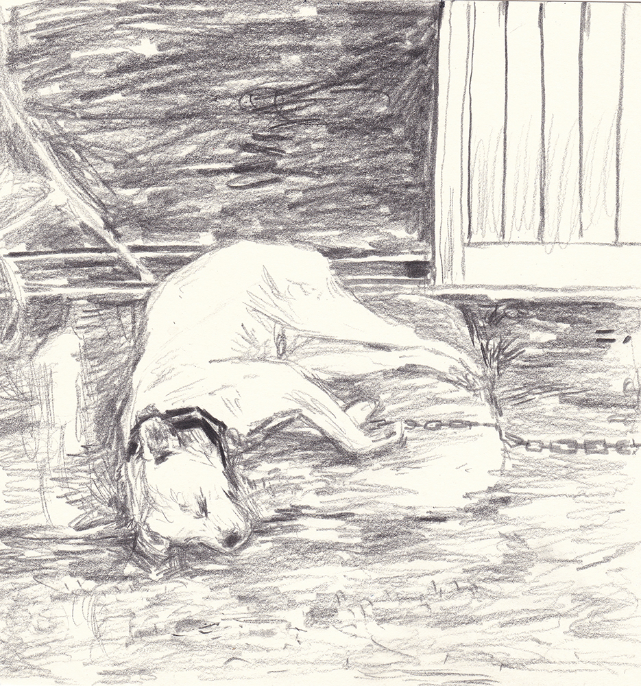 잠든 강아지, 2018, pencil on paper, 17.6*17(cm)