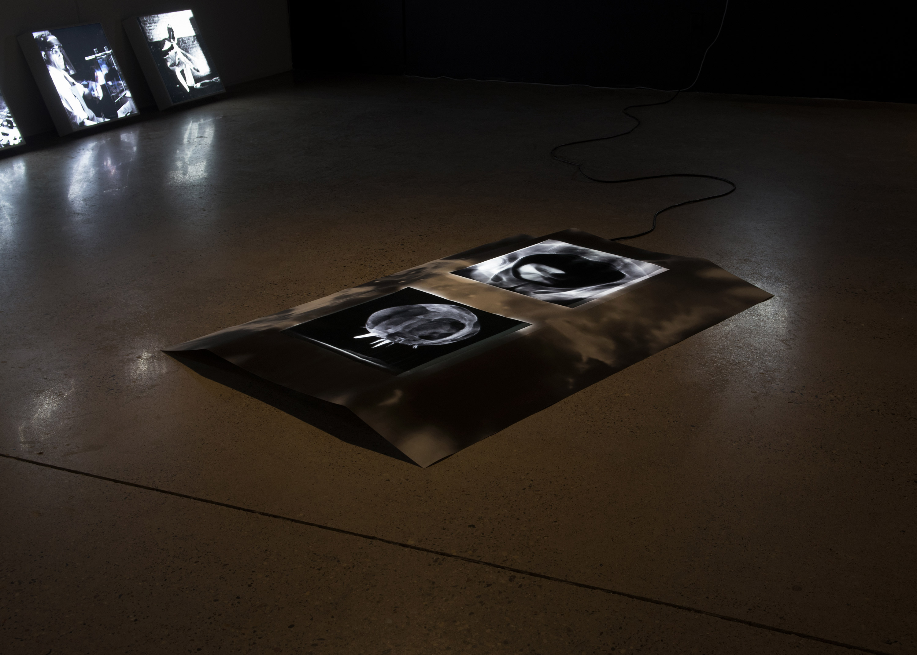 2020  |  Expansion and Decline