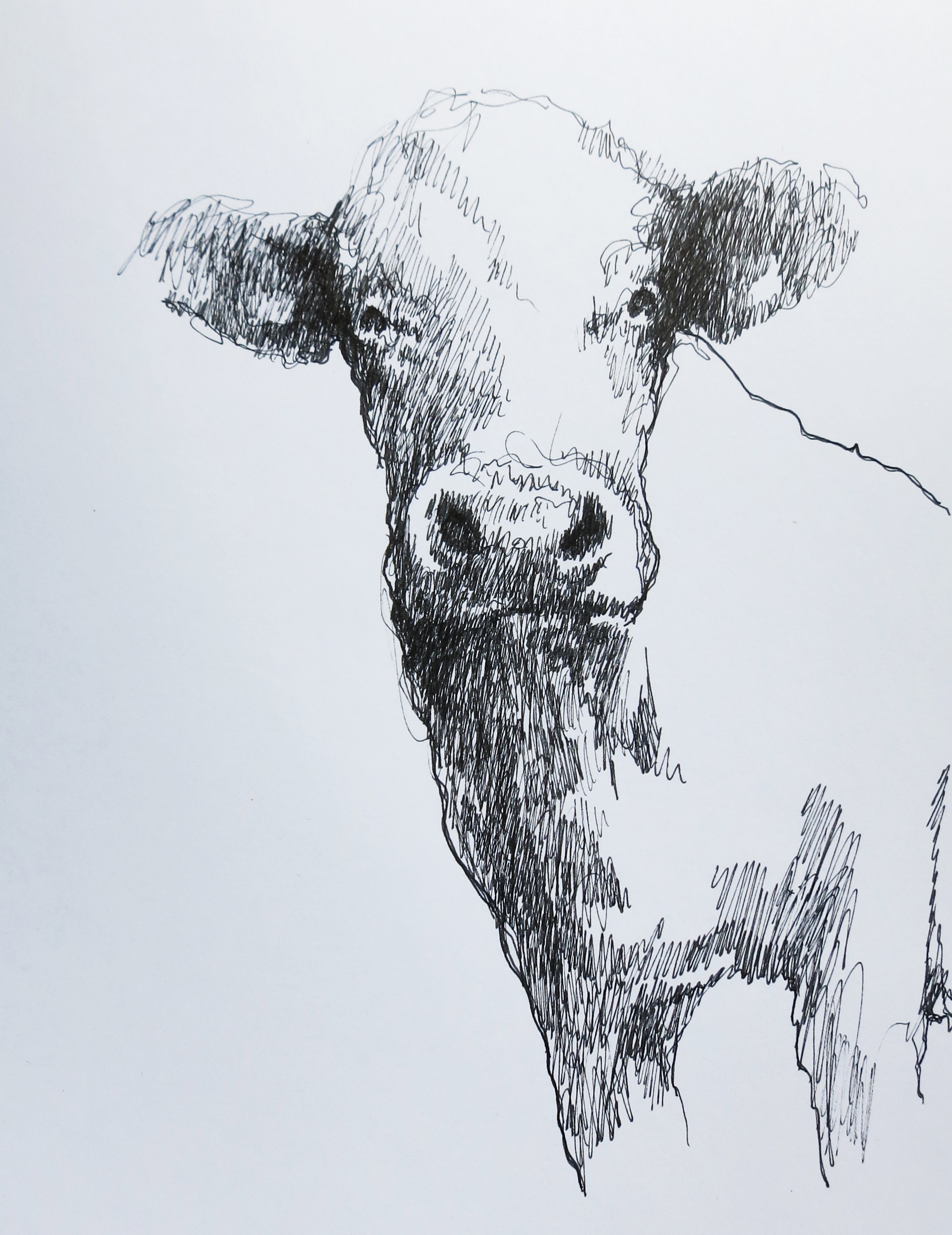  Ink on paper &ndash; 11&rdquo; x 8&rdquo; 