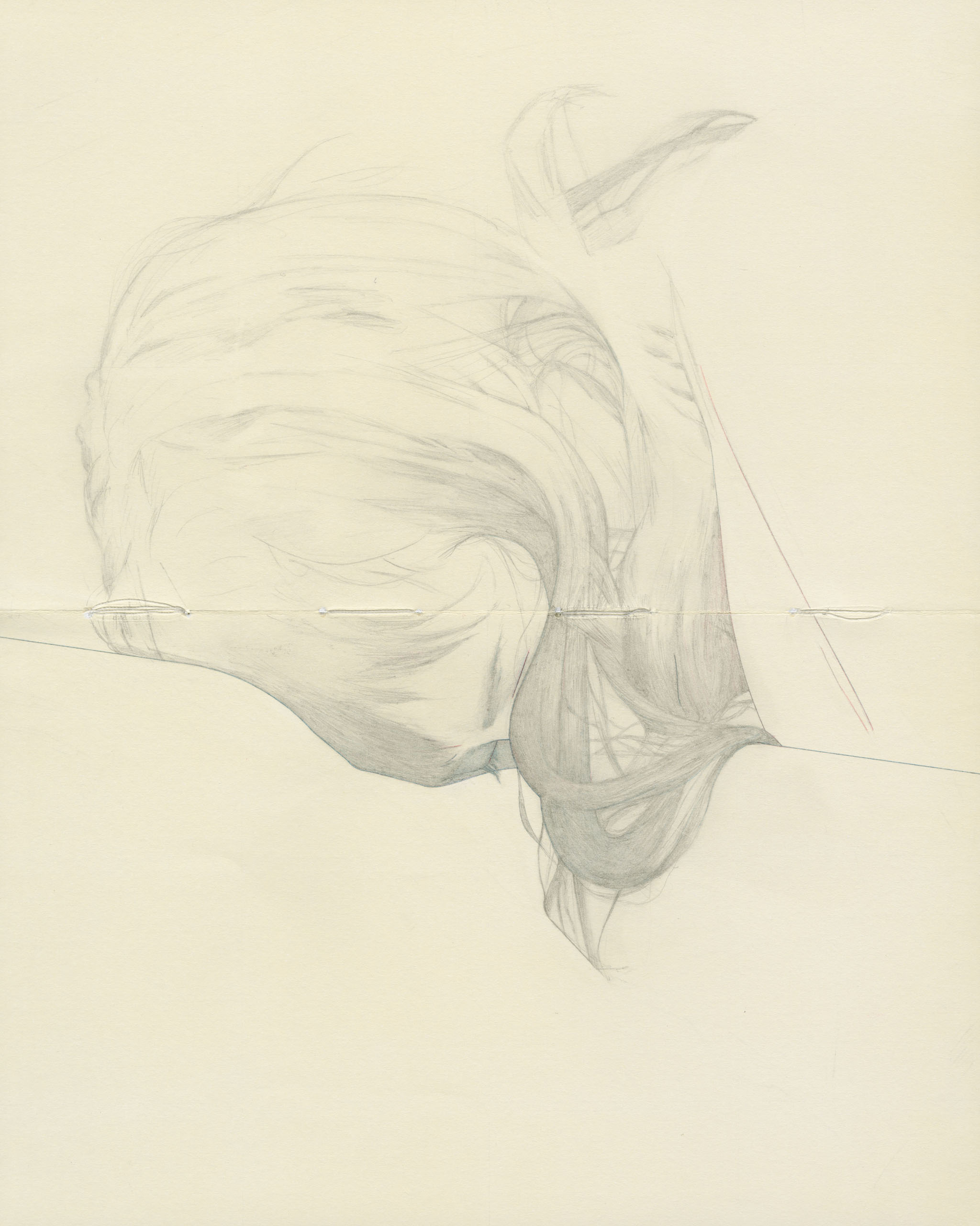 nymphlight (2) 10x8.5 colored pencil, graphite on paper 2013