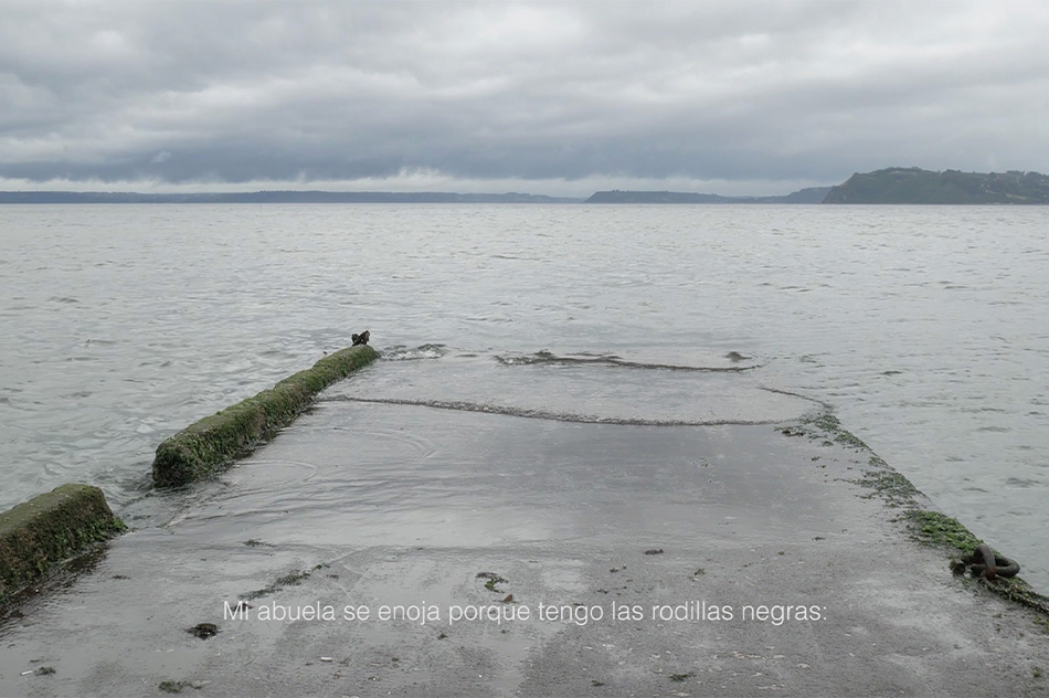 Constanza Alarcón Tennen