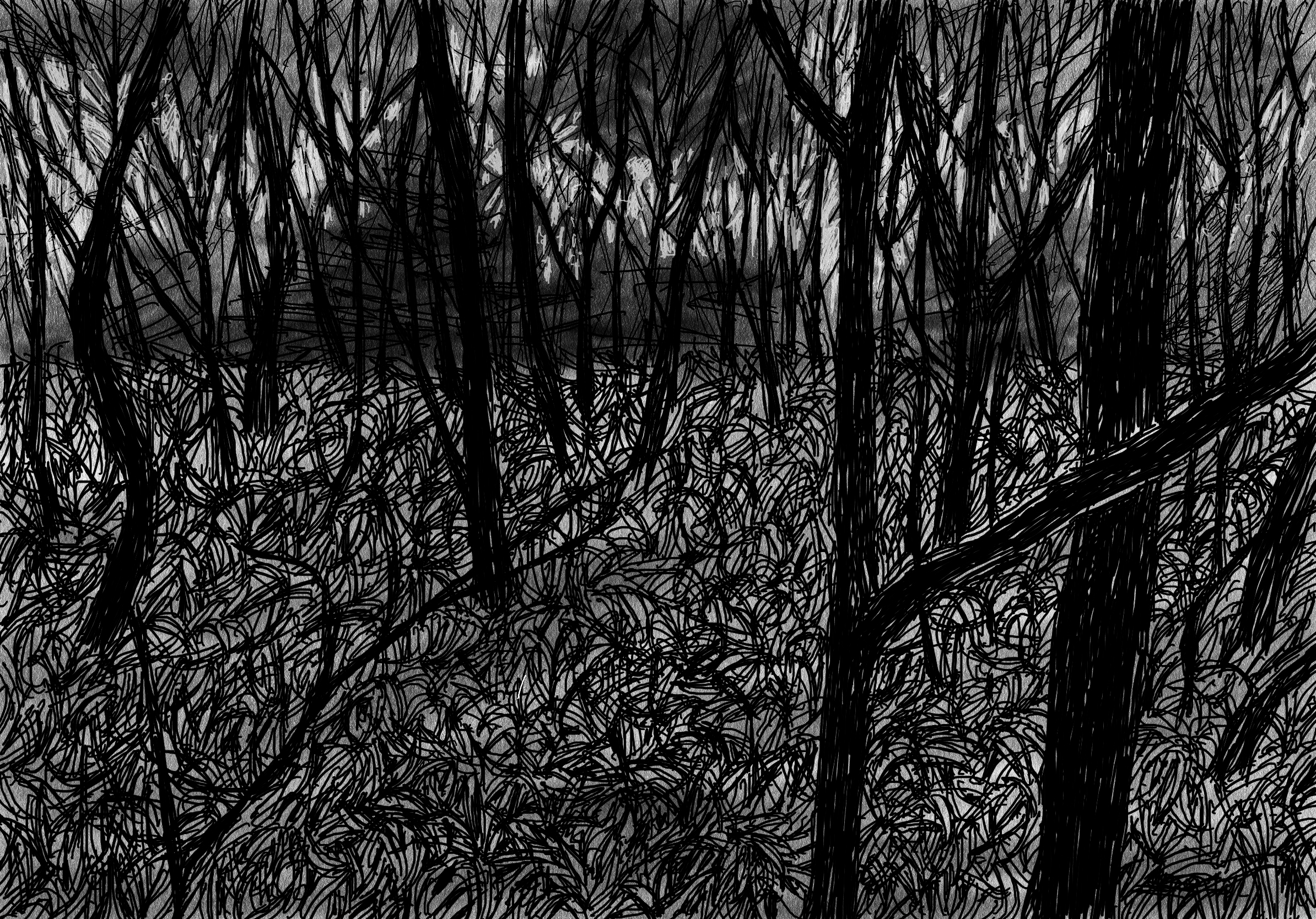 검은 숲2 A black forest_digital drawing_2023