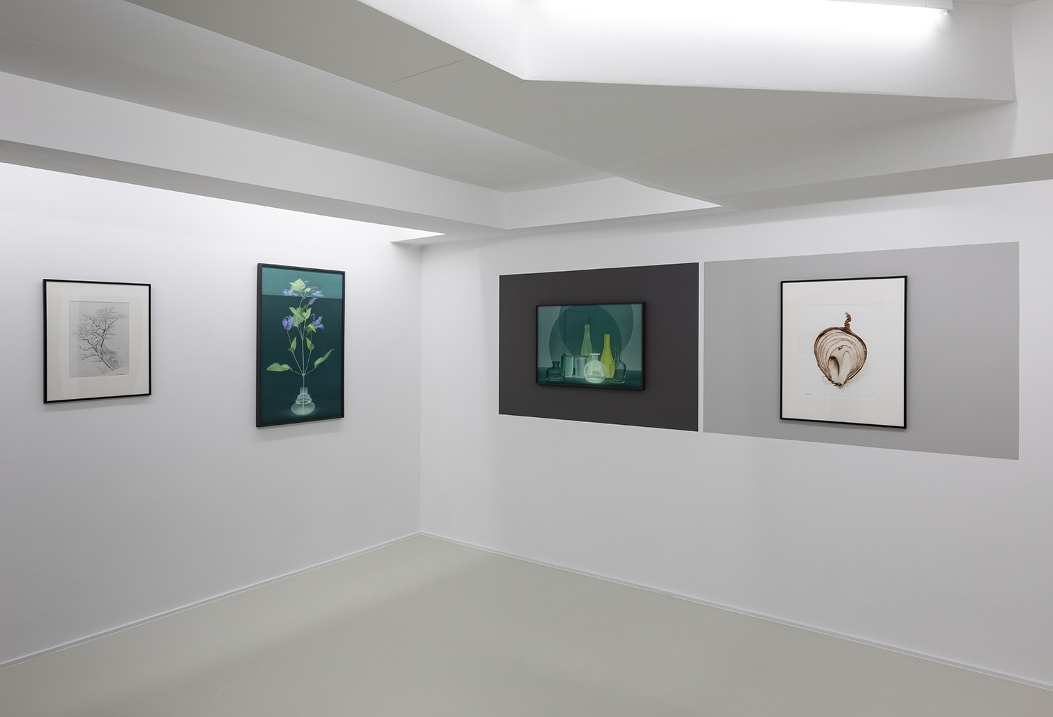 Michèle Schoonjans Gallery Brussels 2025