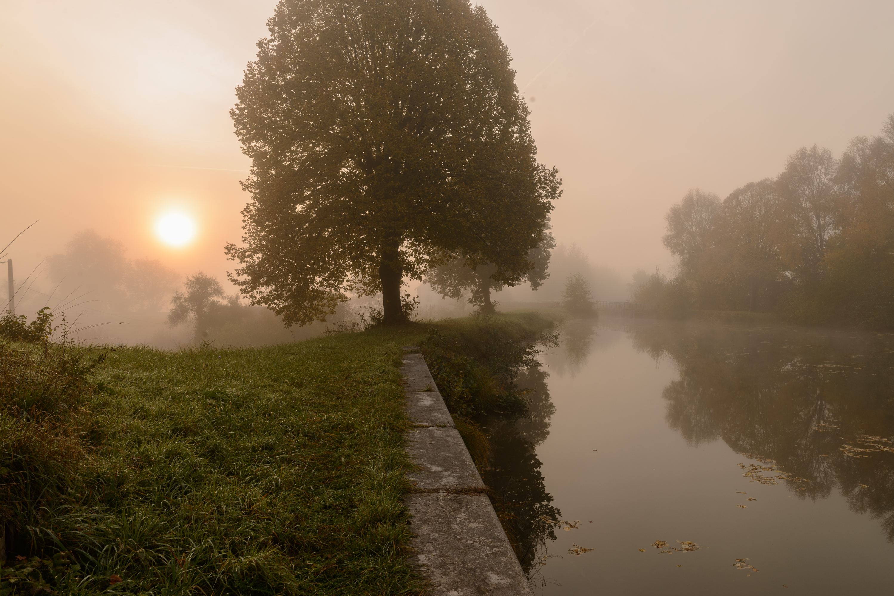 le canal de la Haute-Saône.