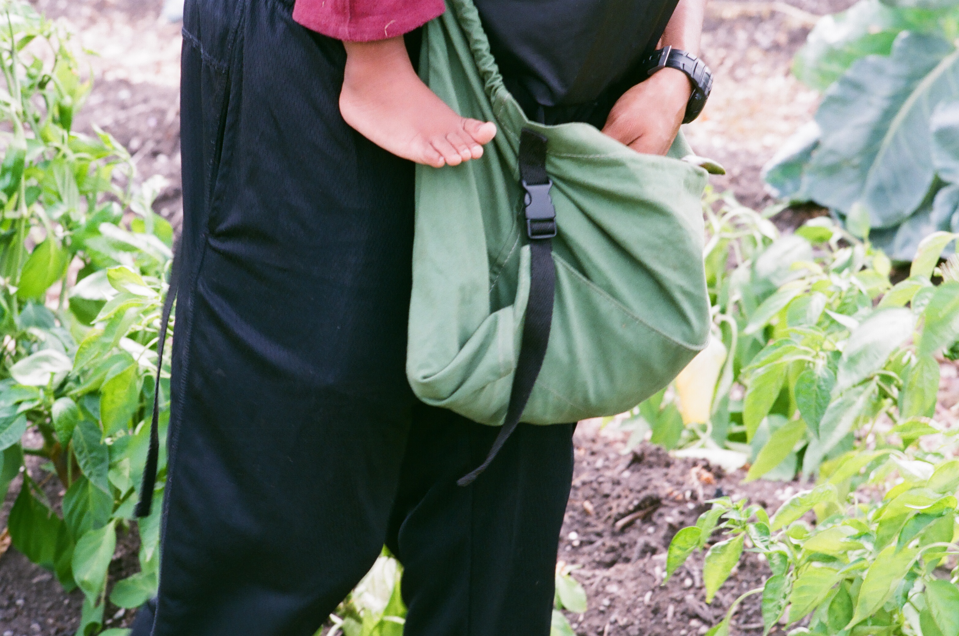 Detroit Food Policy Council, 2021