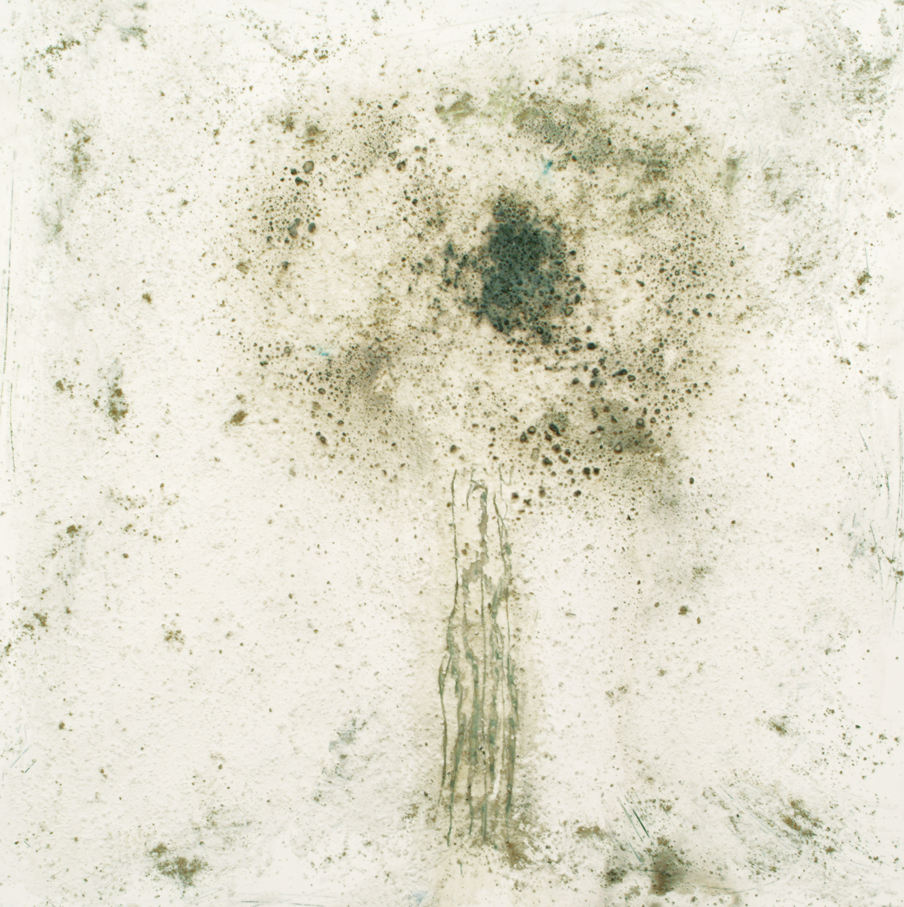 Blind Tree(122 x 122 cm)