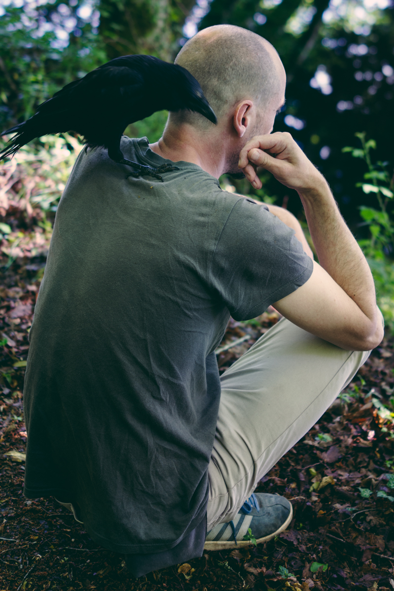 Francesca Todde: A Sensitive Education, 2020