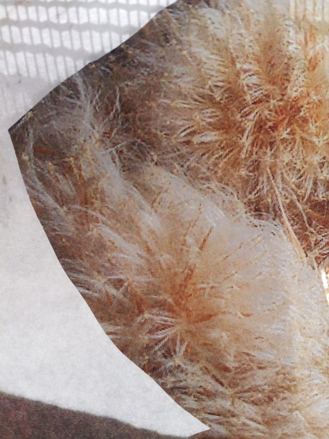  Slope in  Printed on Hahnemuehle Photo Rag, 7" x 10