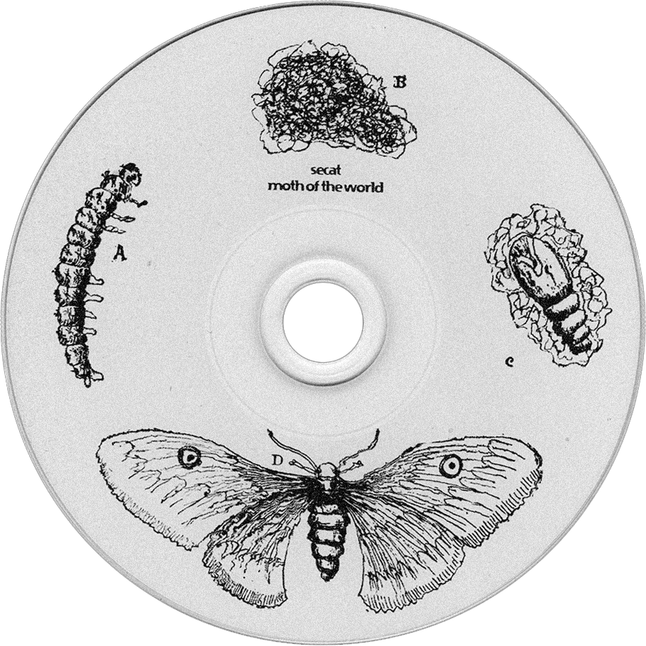 "Moth of the World" by Secat (2023) disc design