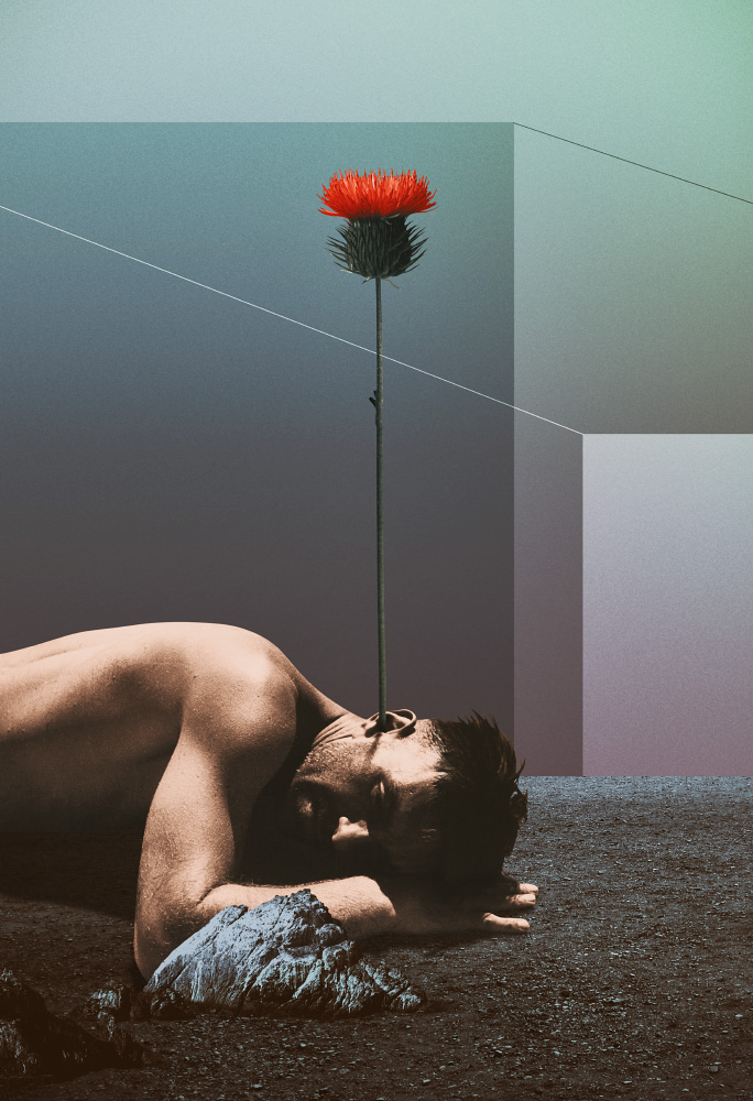 The Botanical Garden