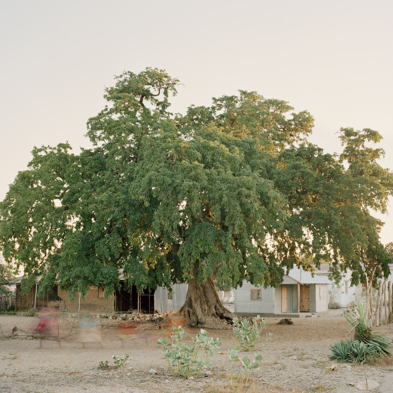 Commune I, Saint Augustin, 2013