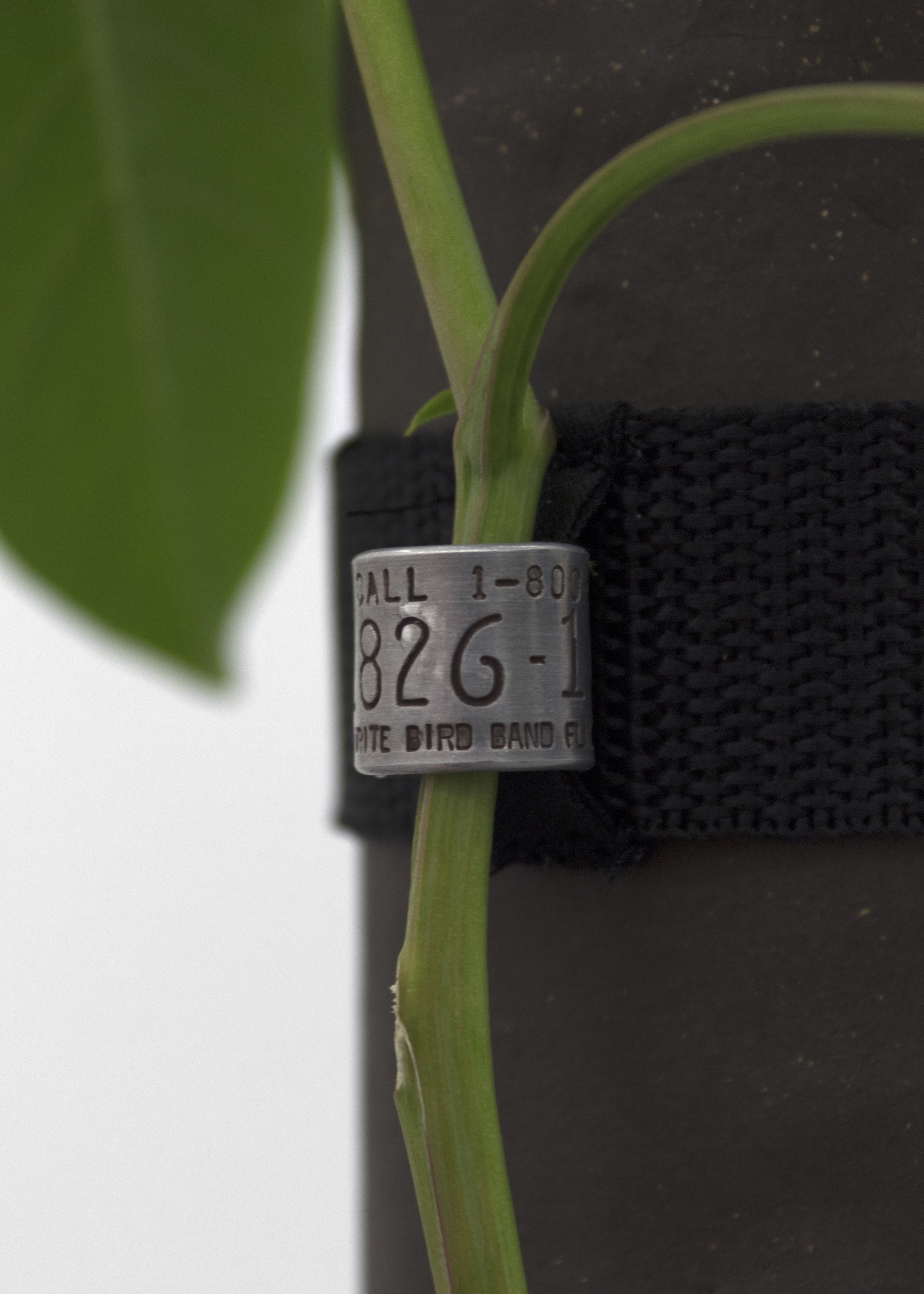 Detail: Feeder No.1. Photography: Prairie