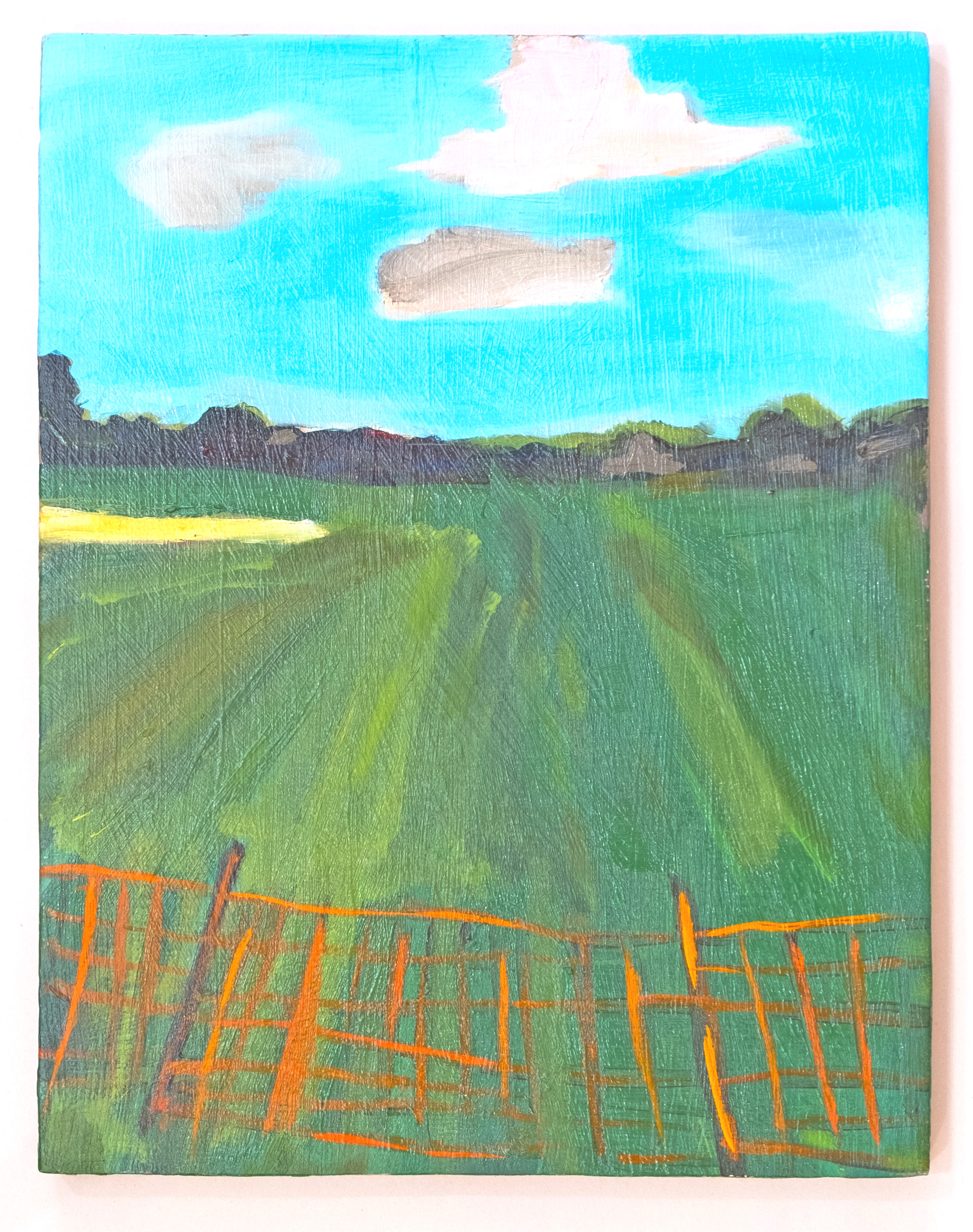 The Great Lawn, Central Park, oil on wood, 12.5 x 9.5, 2019