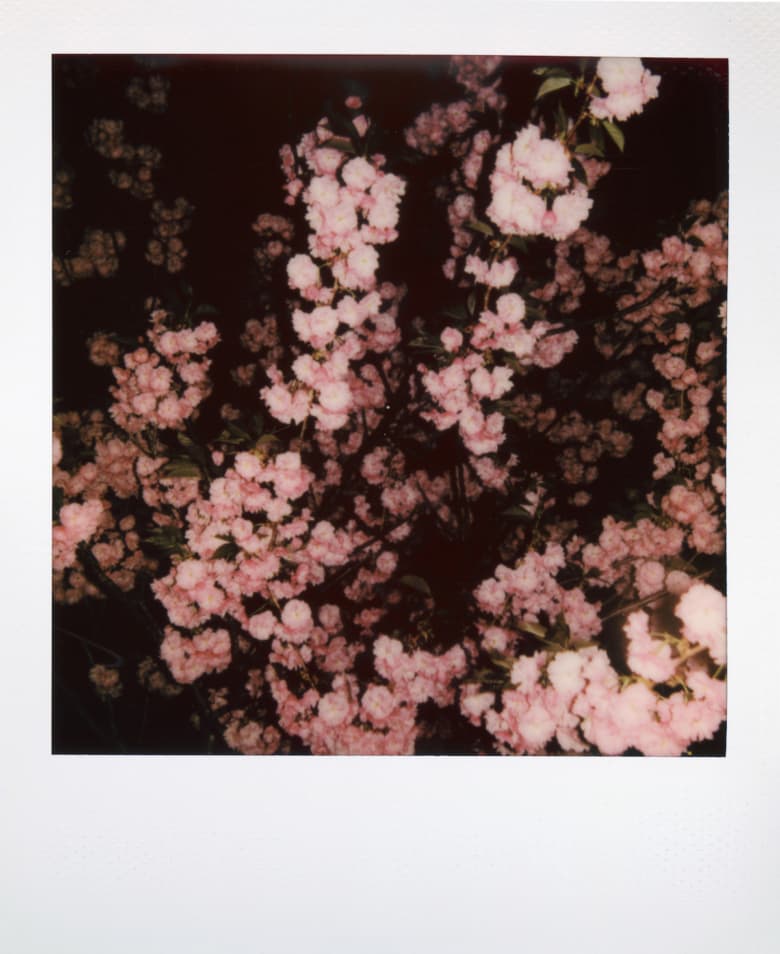 Hunger x Kristina Shakht’s Tender Portraits Of the Female Body