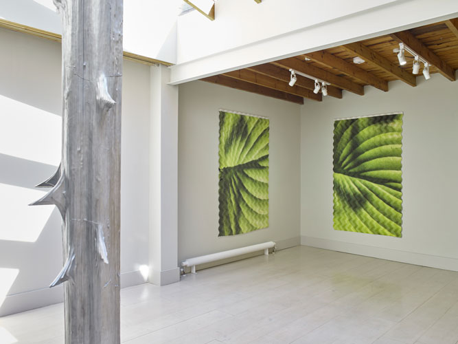 Installation View Alice Channer - Megaflora Photo: Stephen White and Co