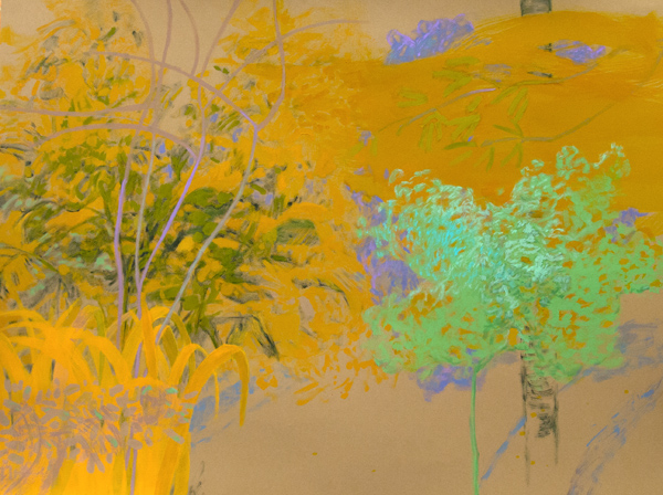 Fictive Space 23, 2014, Acrylic on paper, 22 x 30 in. $2,200