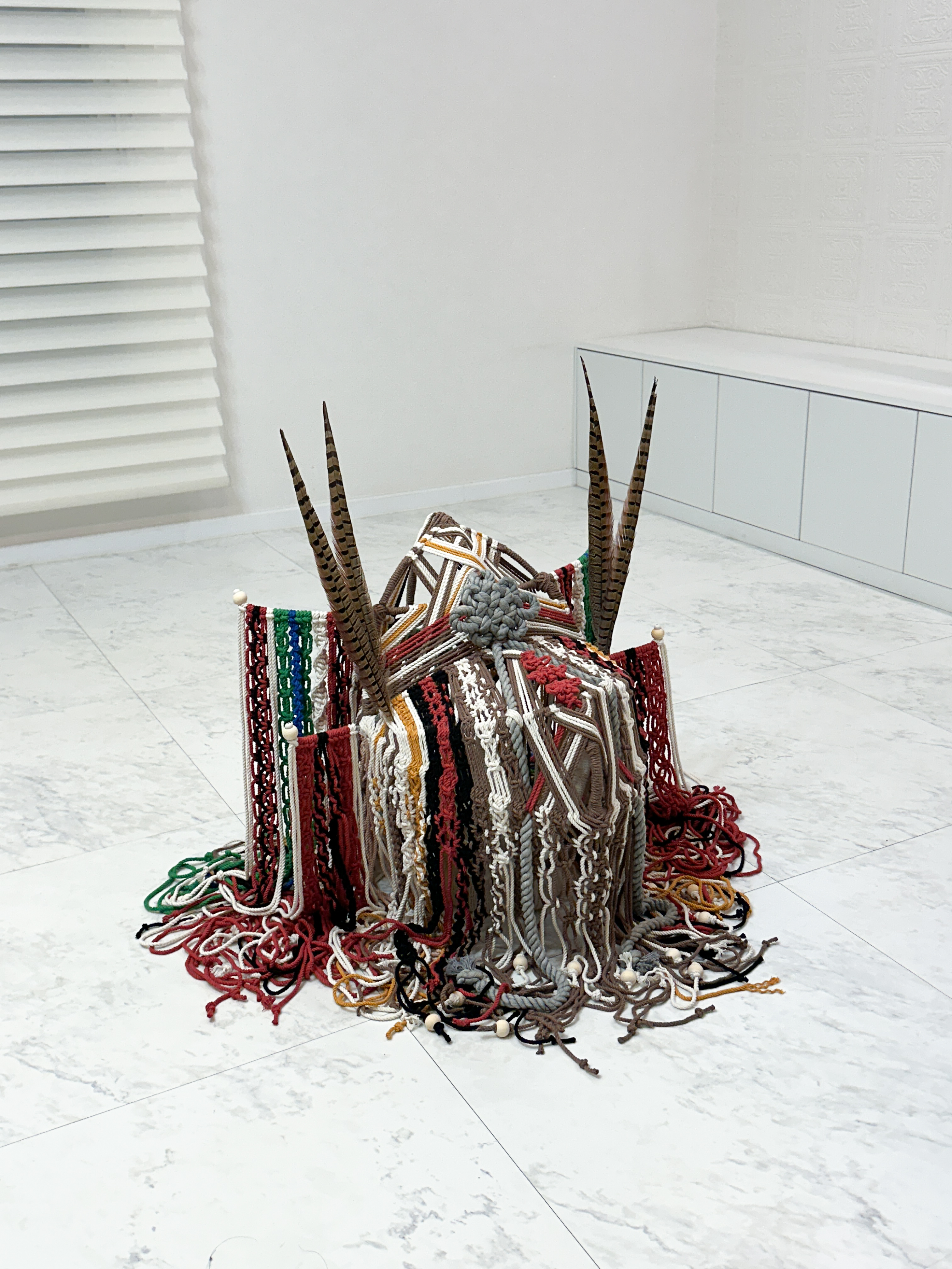 Platter Theory / 2025