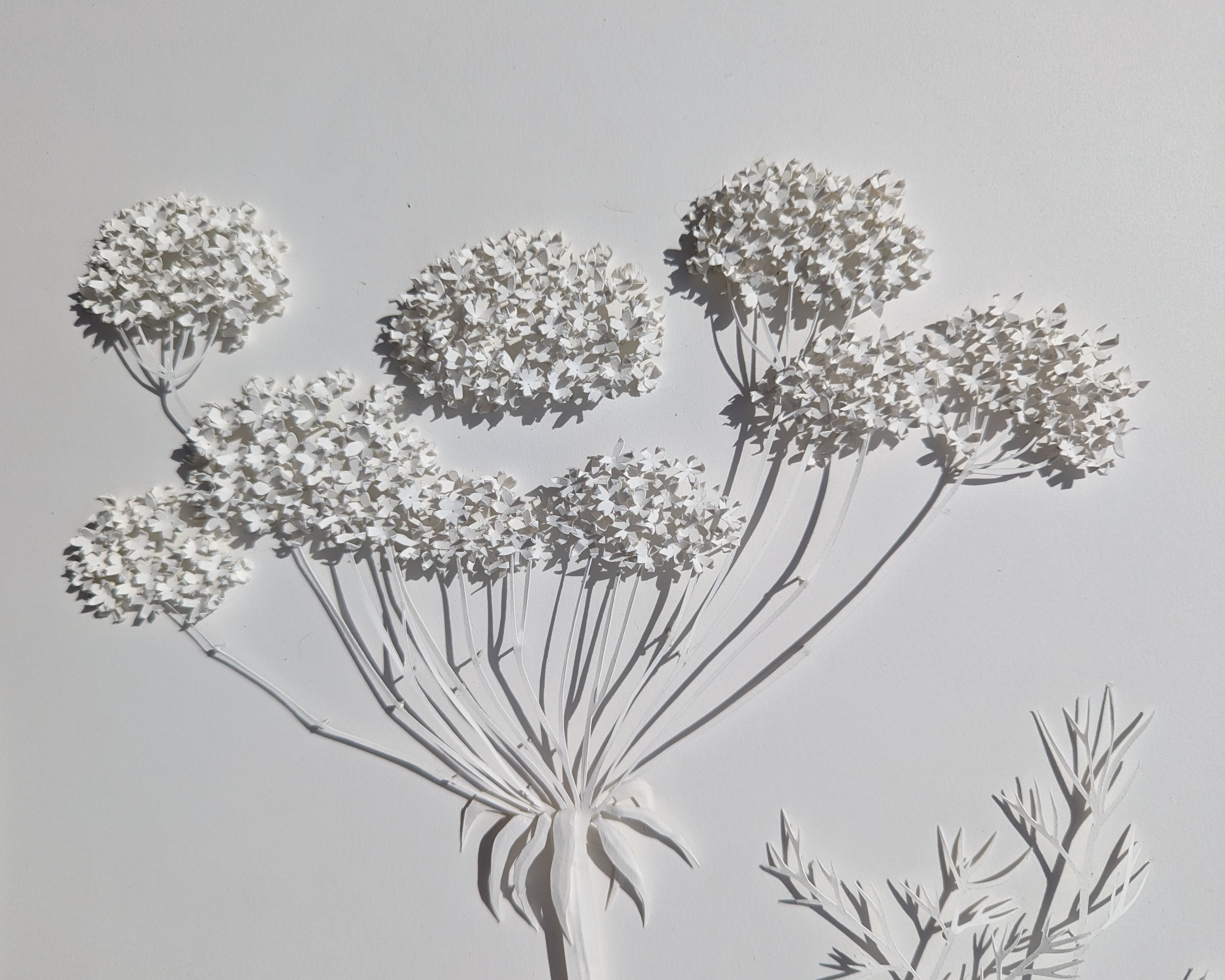 Dreams and History Detail