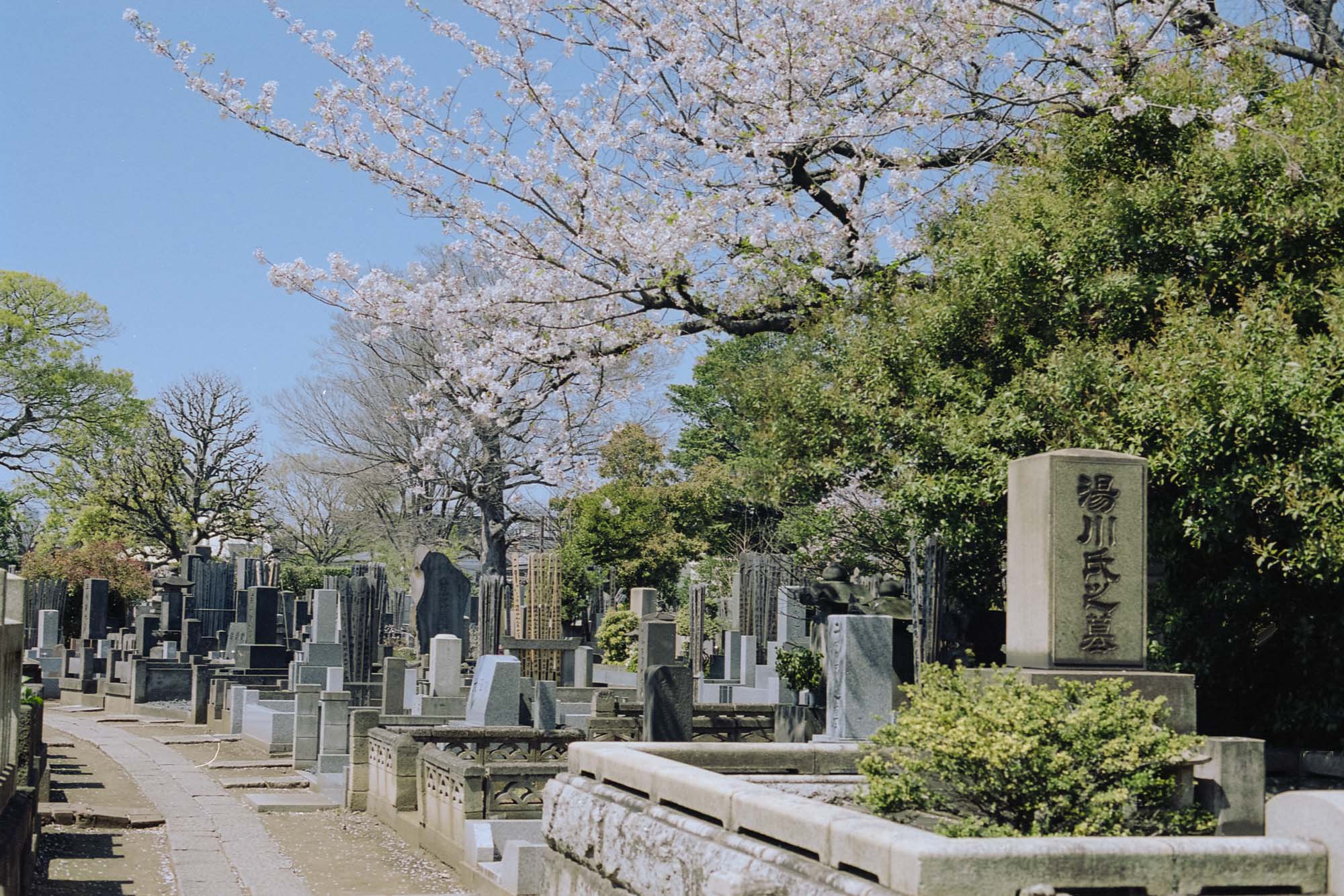 Yanaka Cemetery