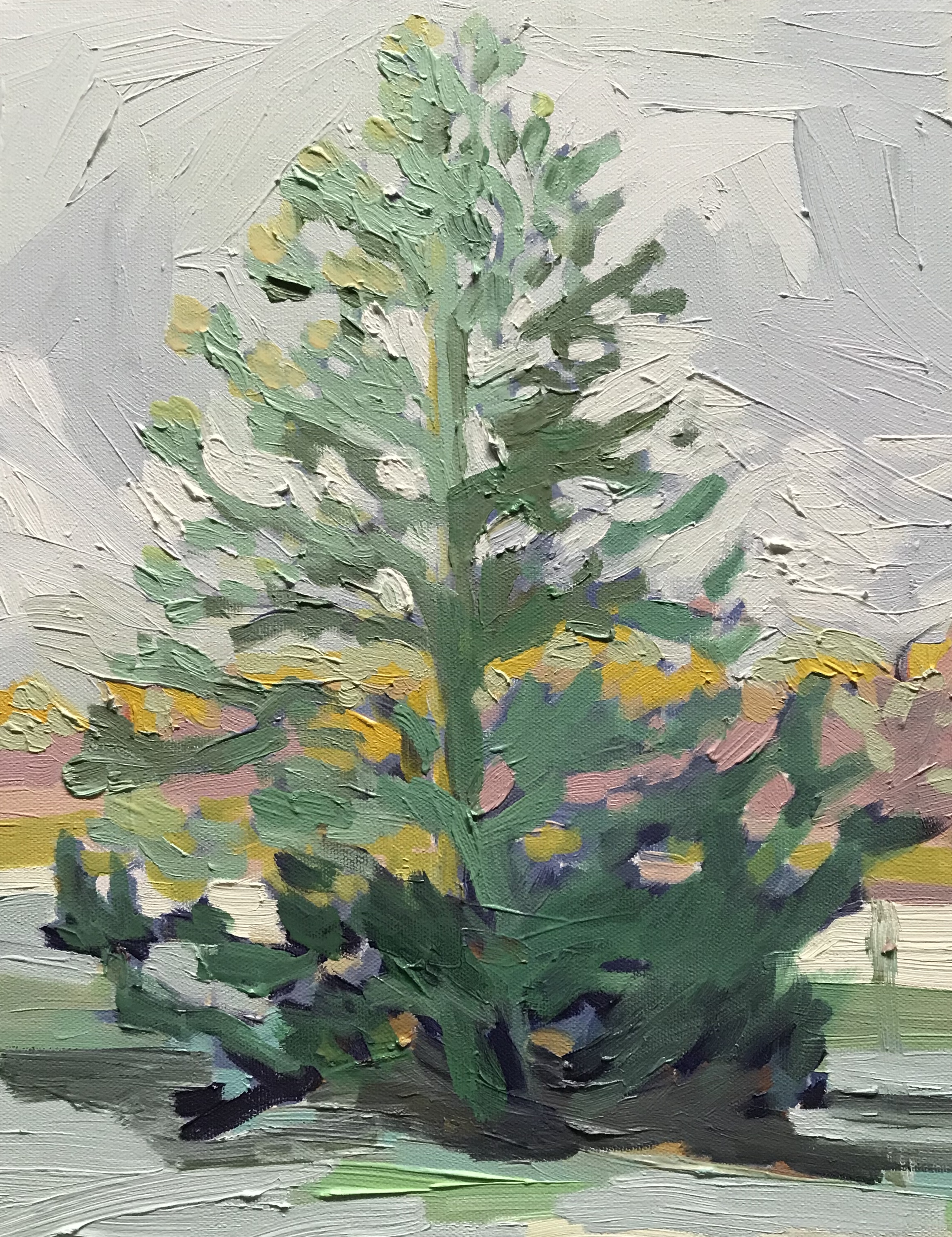 Trout Lake at dawn Oil on canvas. 11x14. 2019