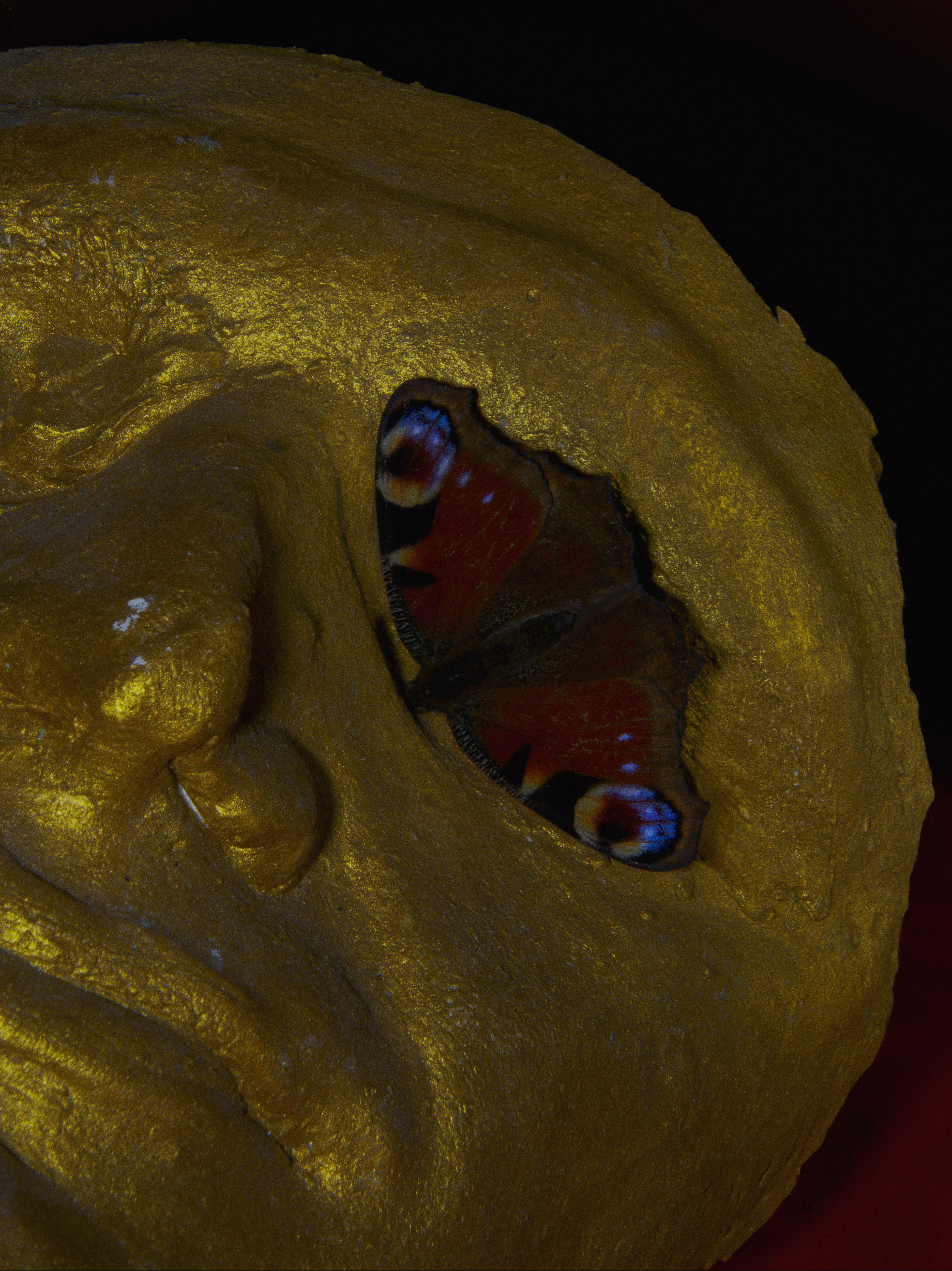 Vanessa Io, 2019 - 60&times;45cm - Ed.5