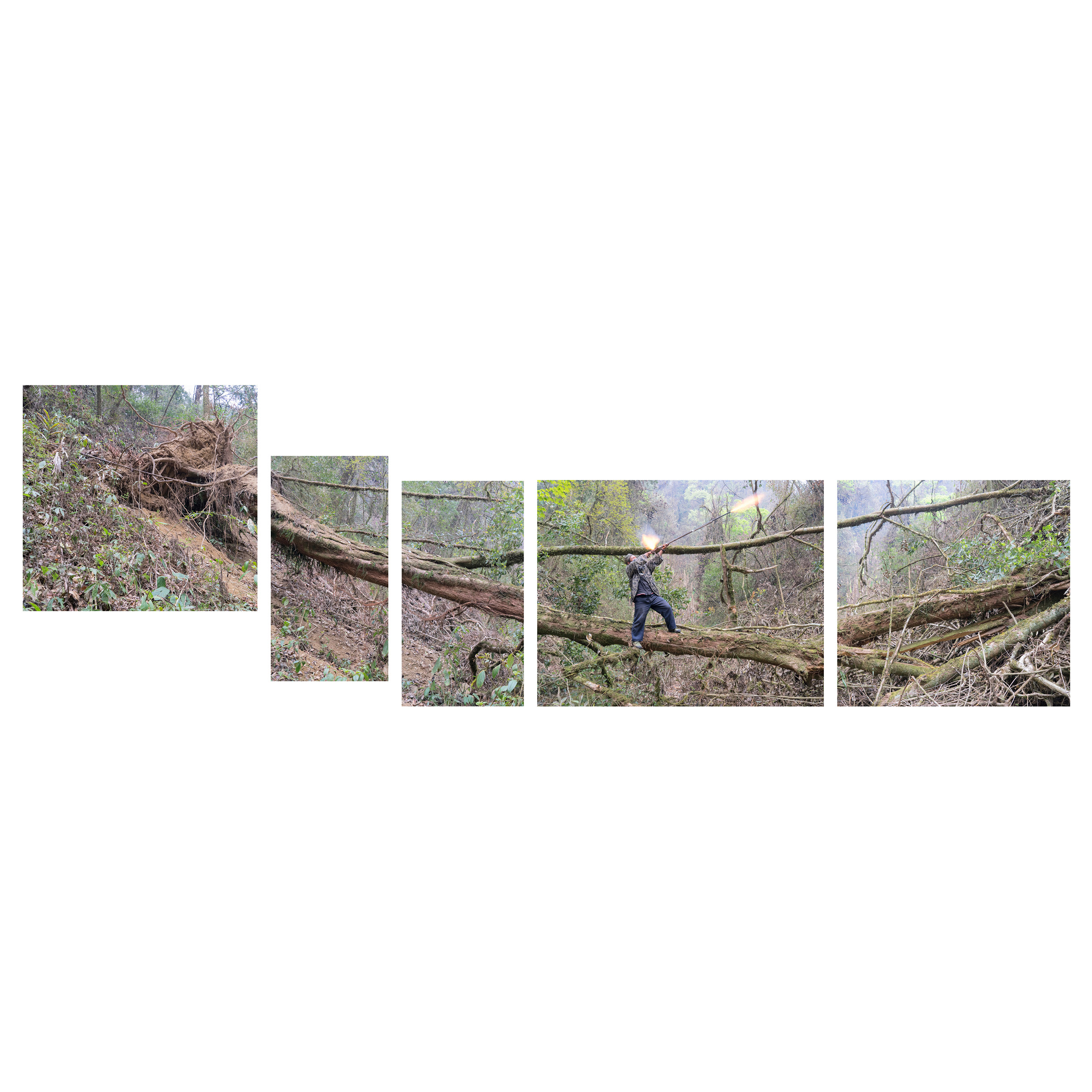 Hunting No.12016Photography50x52cmx2 50x26cmx2 50x64cm