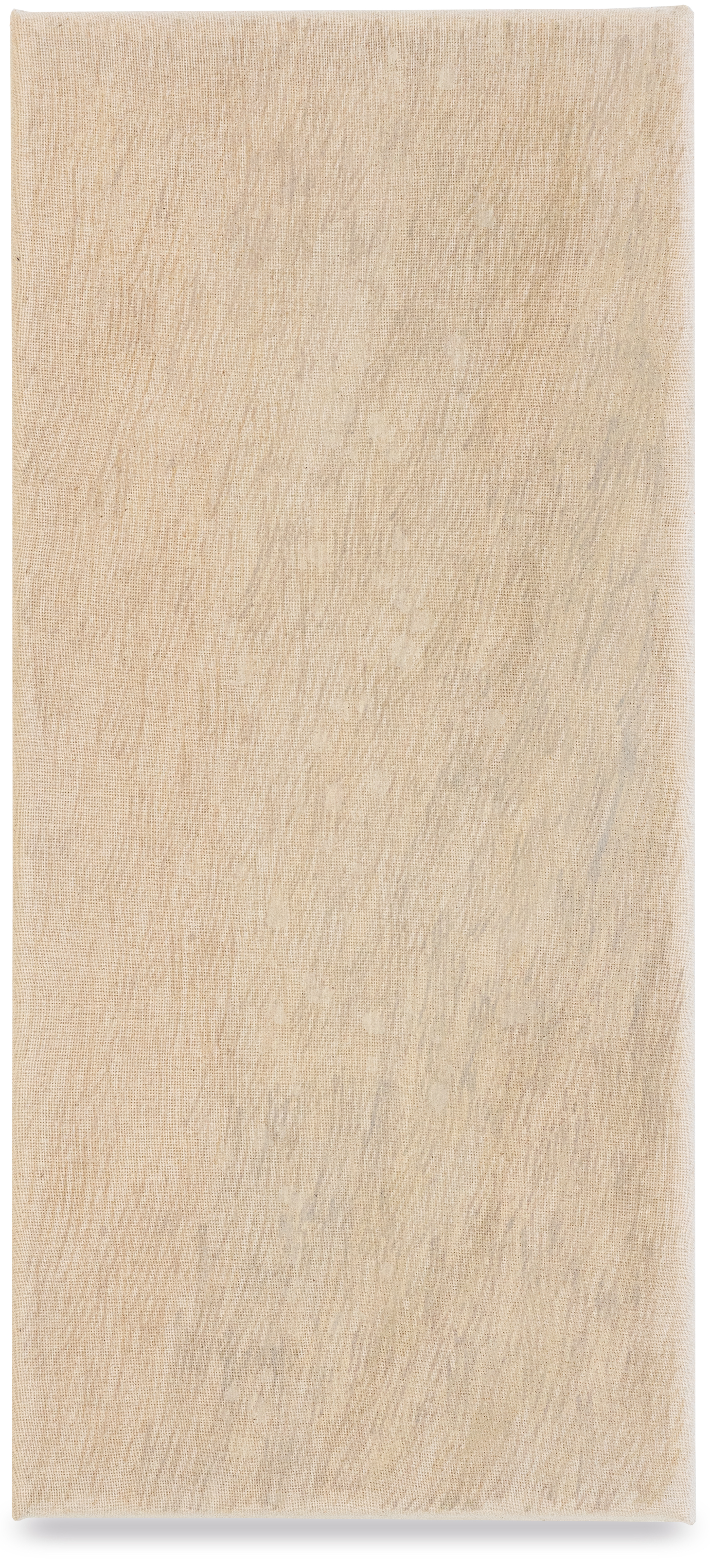 Study after Water II, 2023, oil on calico, 45x20cm