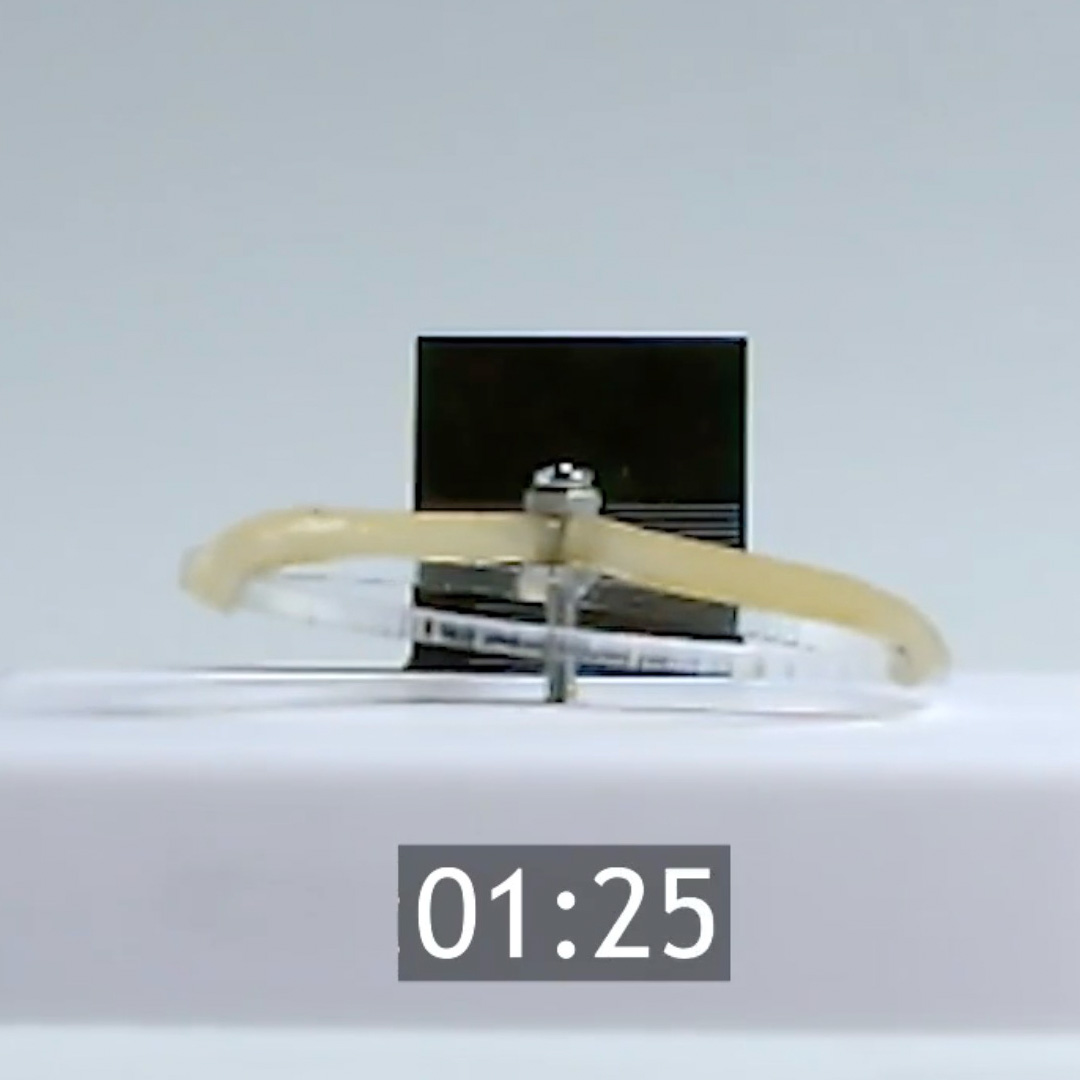 LCE Artificial Muscles