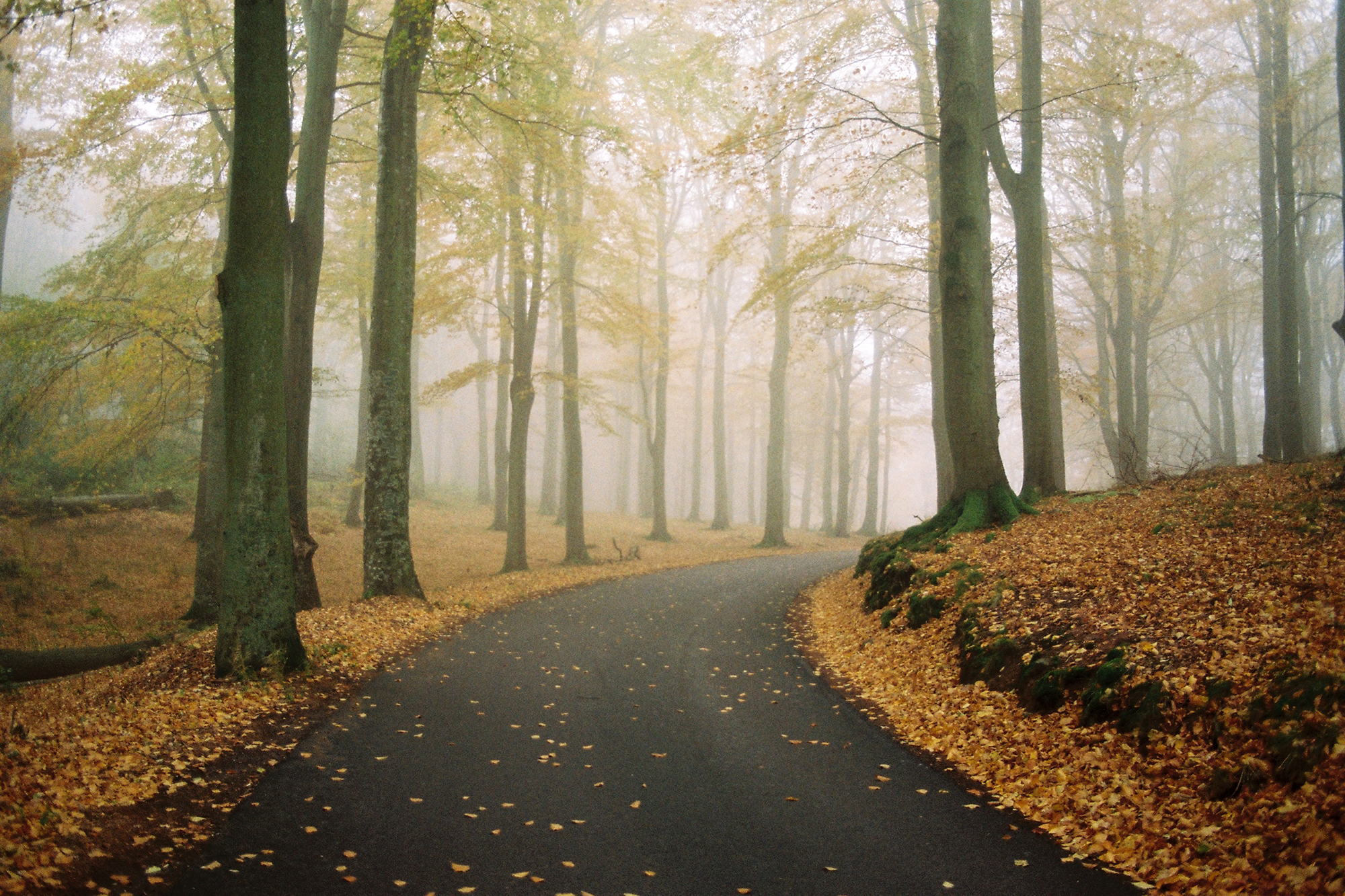 _ Su&egrave;de, 2016