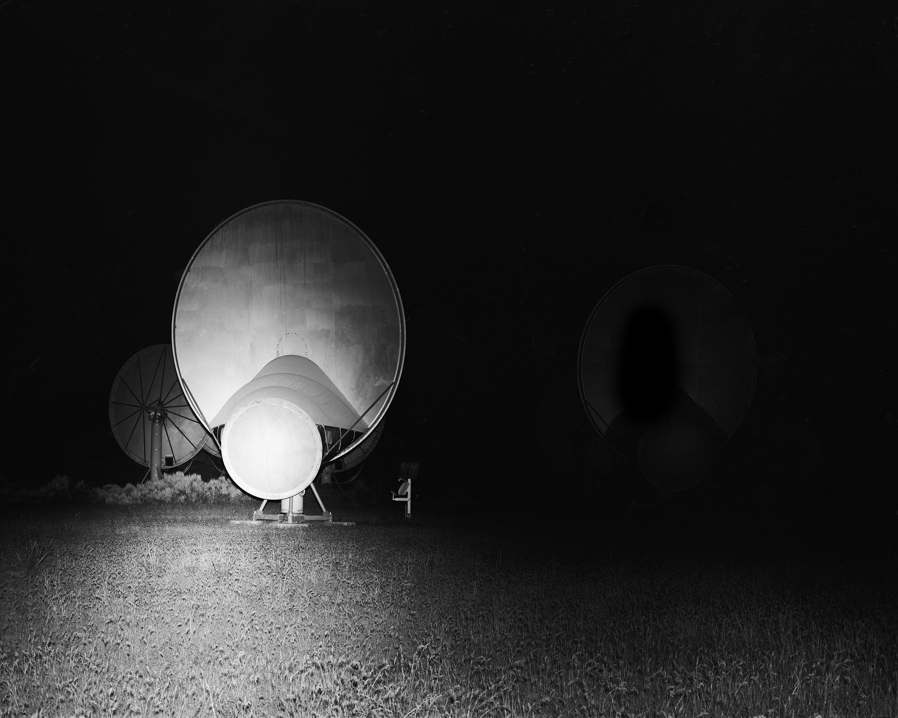 Field 1, handmade gelatin silver print, 2024