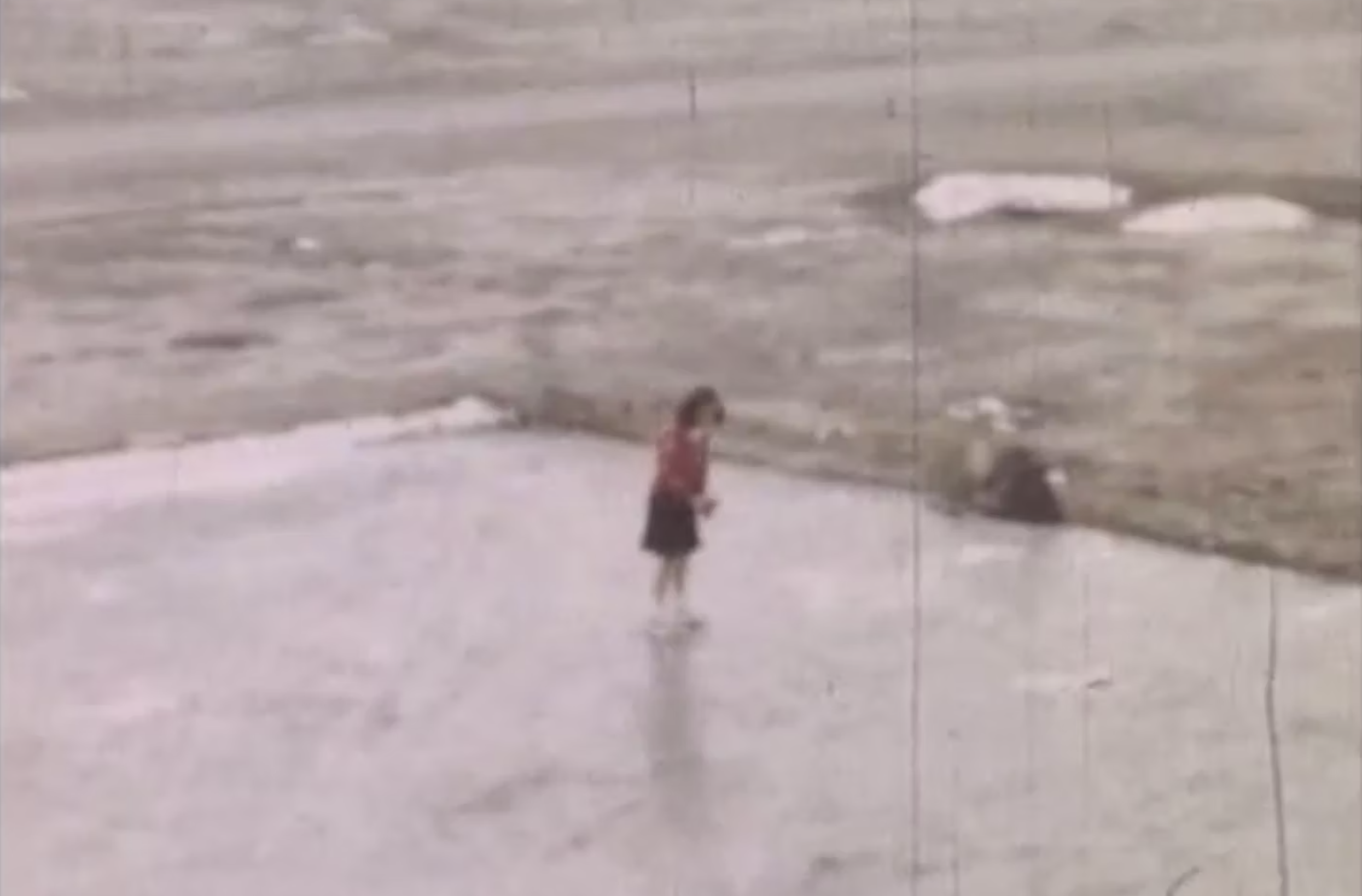 Flood of Memory (documentary, 2024)