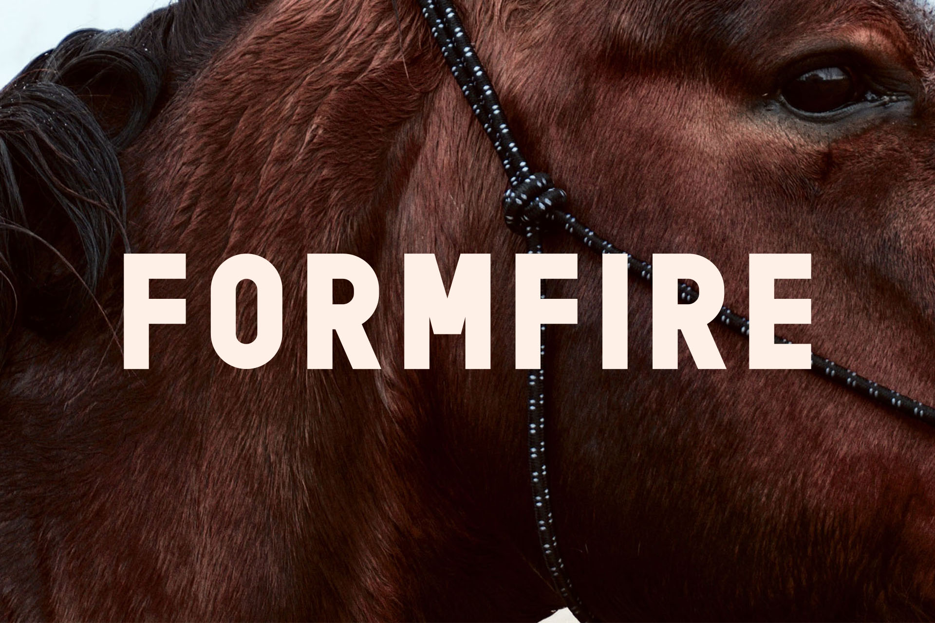 Formfire