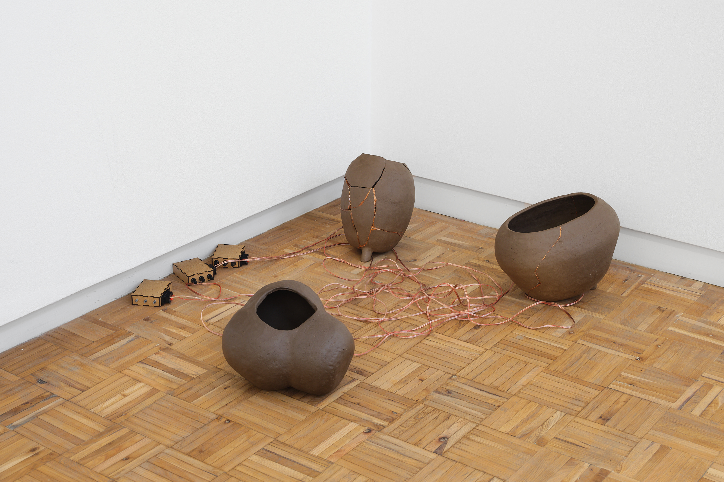 donna Kukama, Fire on the mountain (2025) | Installation view at blank projects, Cape Town