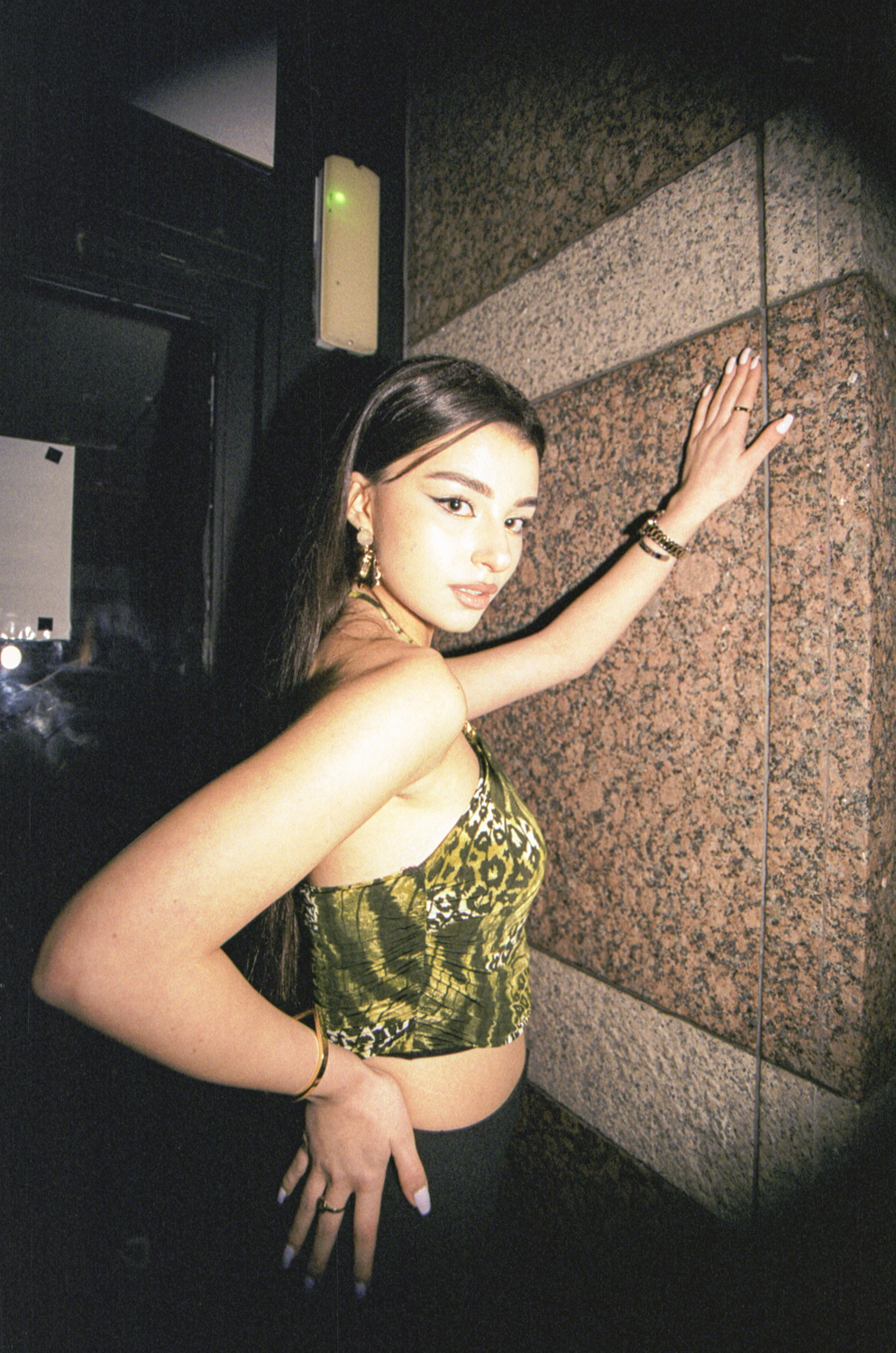 IT'S A CHAMOMILE CHRISTMAS PARTY