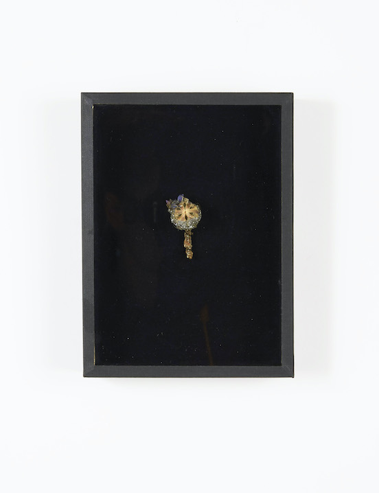 Peau de fleurs [cornet de glace], 2019 Gélose moulée dans un cornet de glace, Nigelle de damas, Millepertuis perforée, paillettes, 20 x 15 cm. Collection privée.