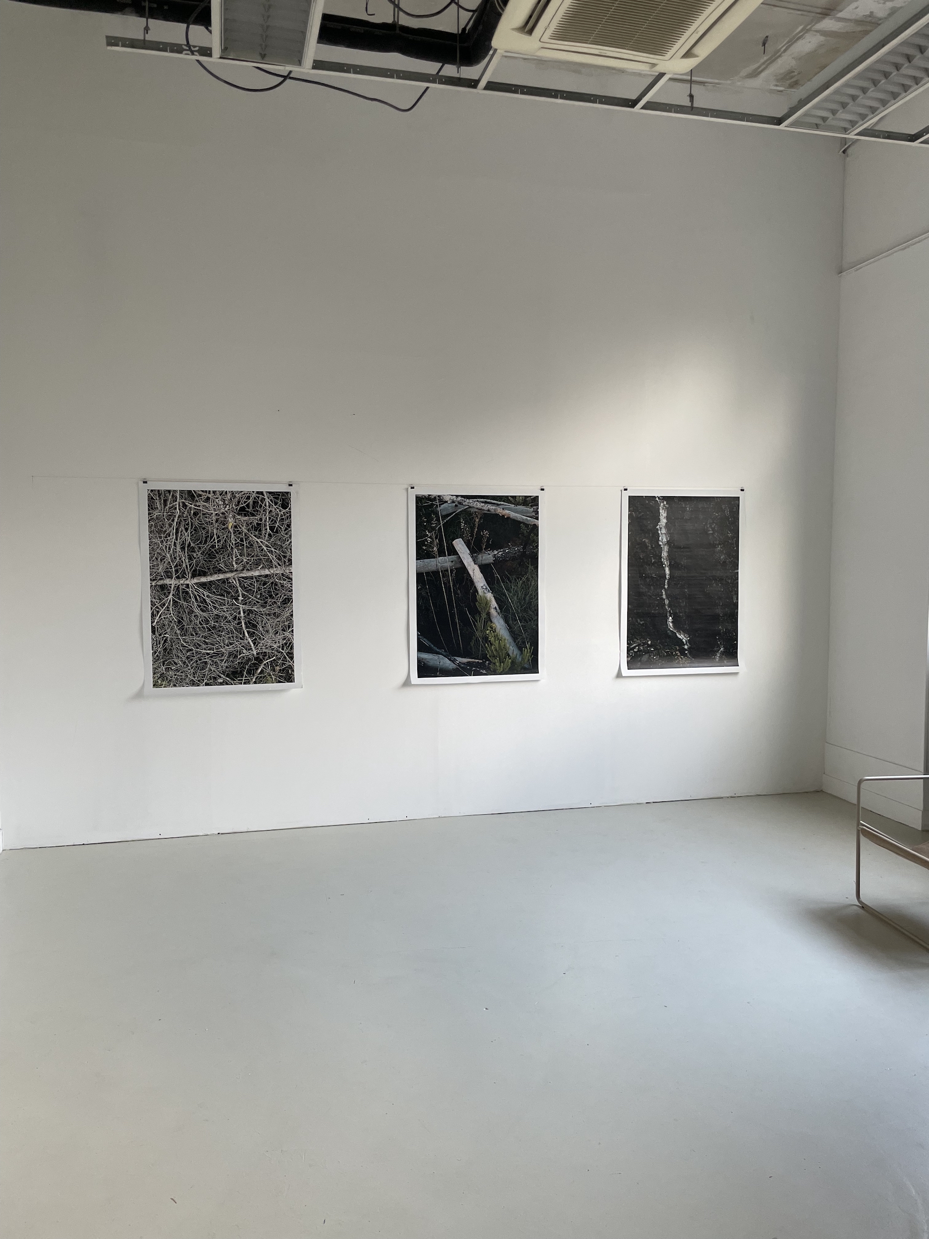 Brûler, tomber, repousser